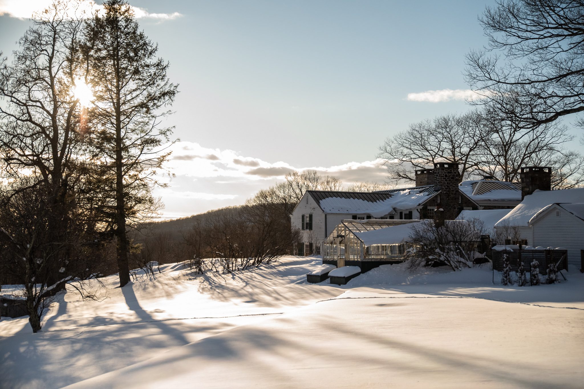 Low sun through the pines, long shadows running across the snow toward the farmhouse.