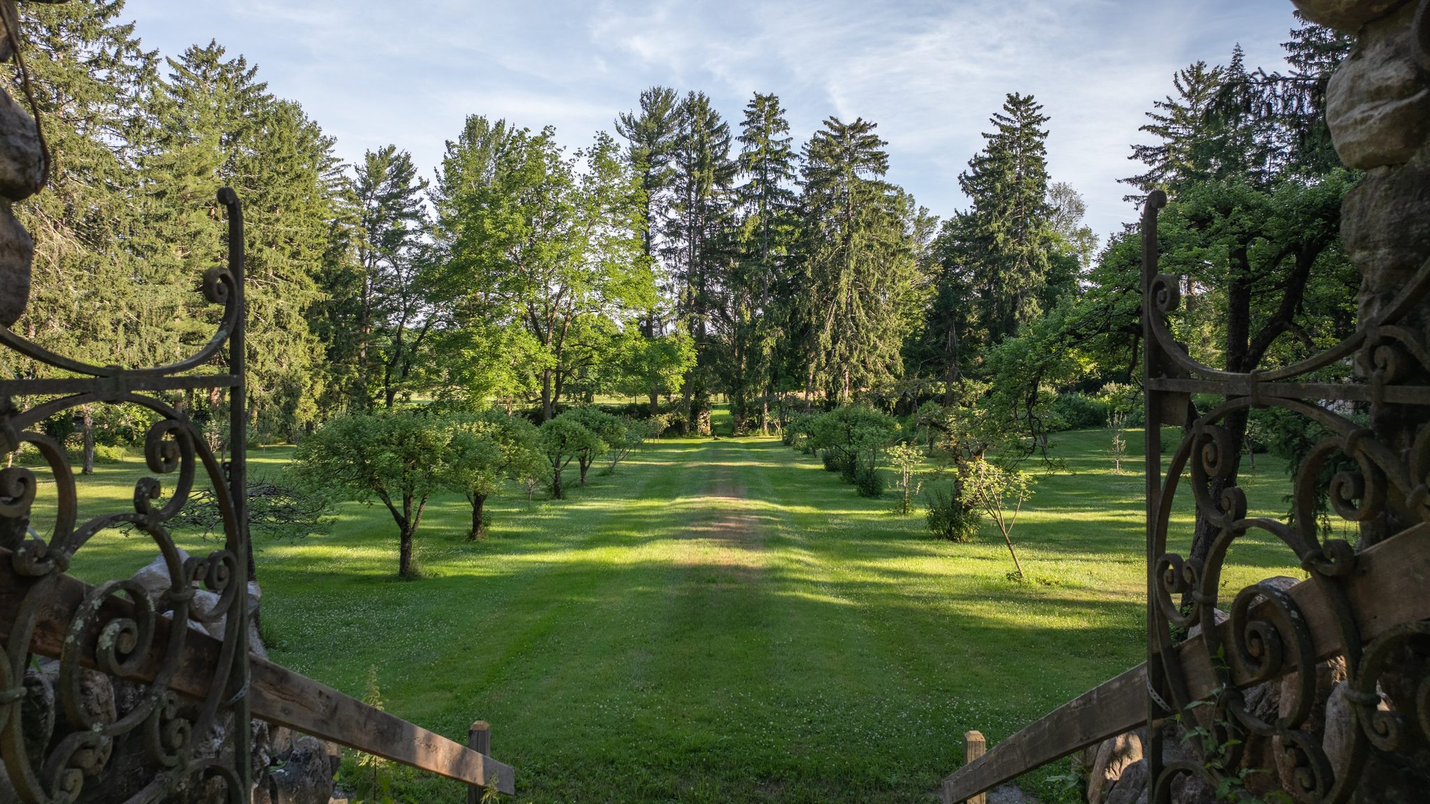 Through a pair of wrought-iron gates, a mown path runs down an avenue of young fruit trees and tall pines.