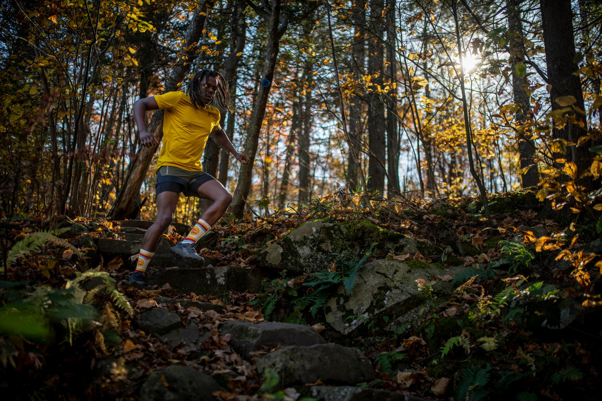 A leap down the steps, backlit by the low autumn sun.