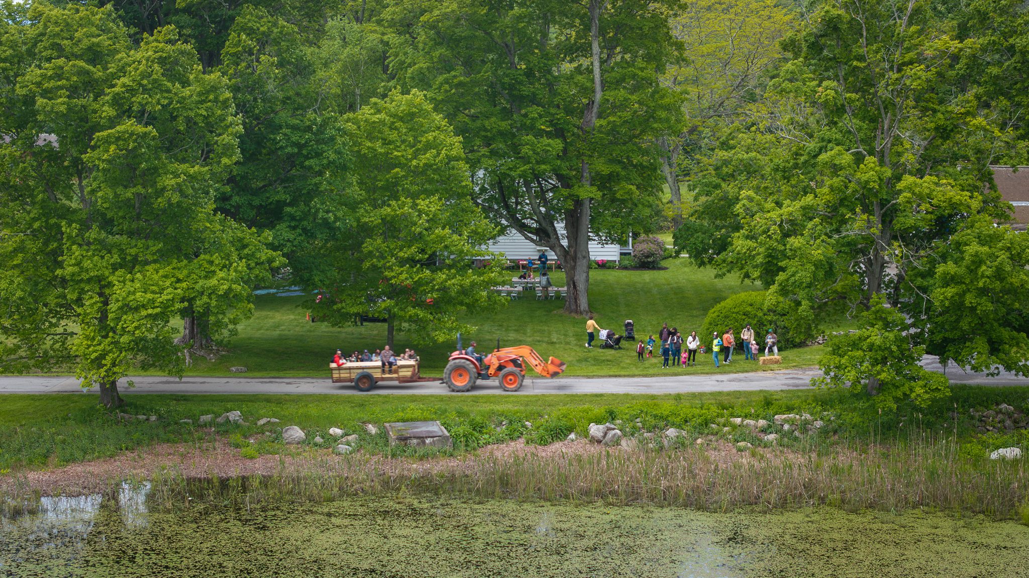 A tractor pulls a wagon full of riders along the pond, past the big maples.