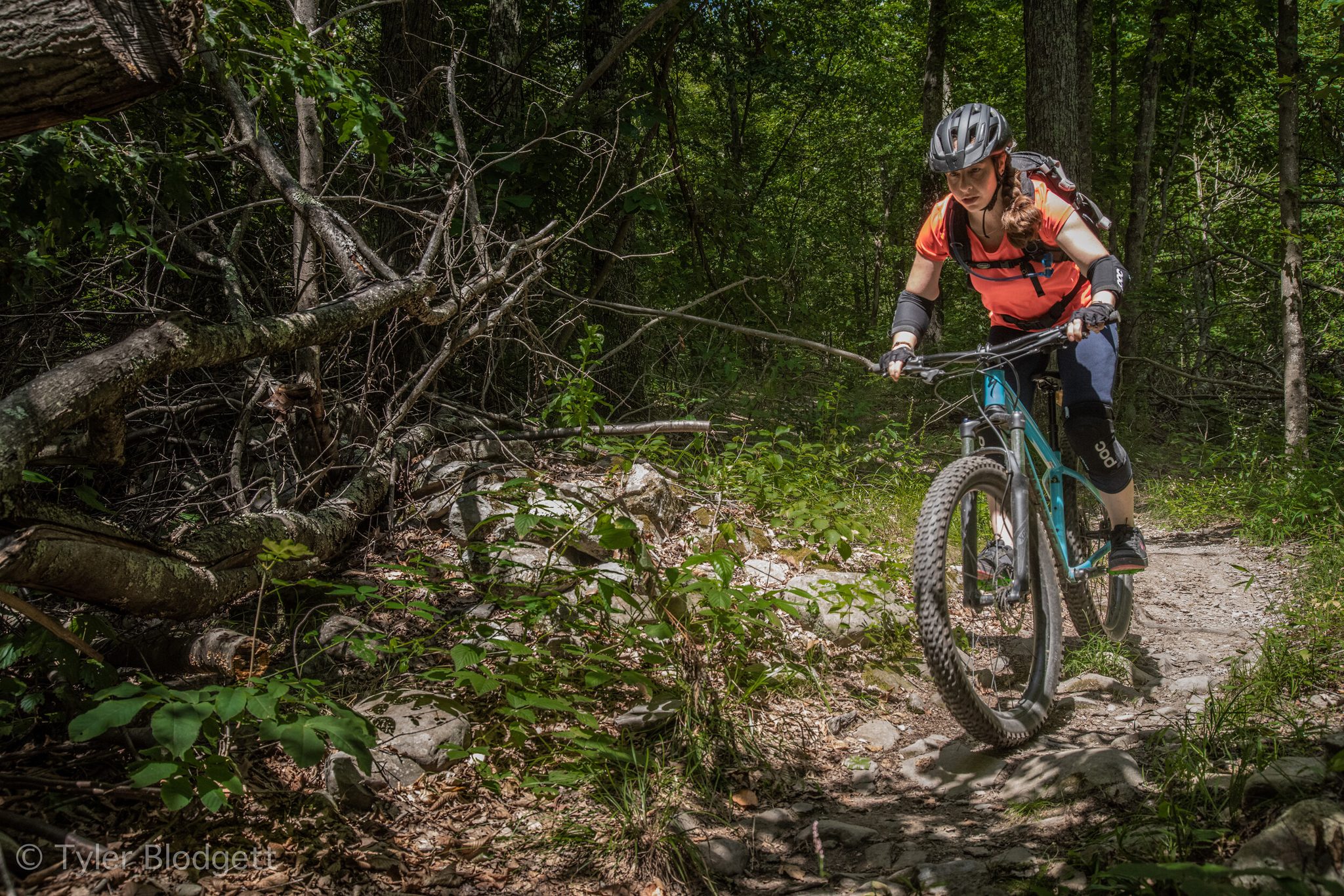 A mountain biker picks a line down the rocky trail, roots and stones every foot of the way.