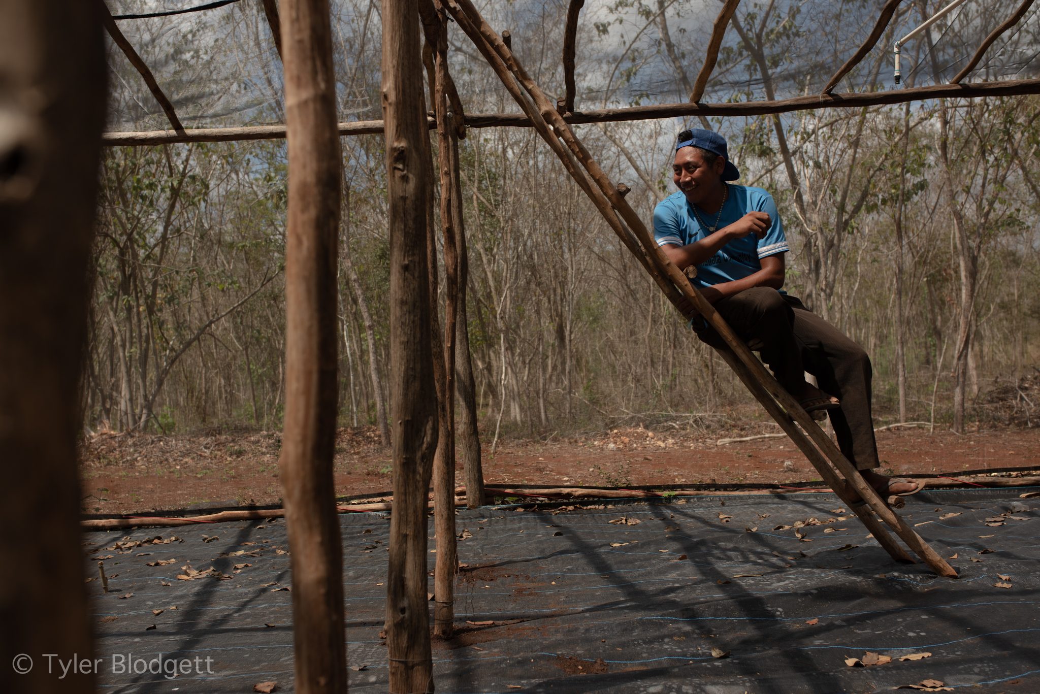 A young man climbs a ladder to rig the shade frame over the nursery.