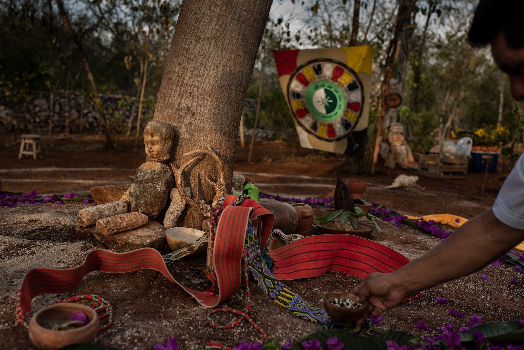 Offerings gather at the foot of a tree, stone figures, woven sashes and scattered petals, laid out by hand.