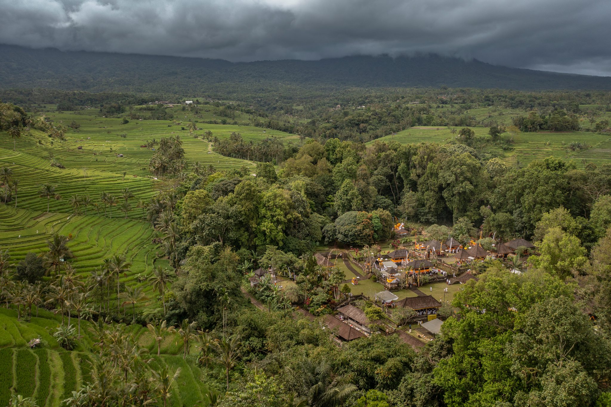 Rice terraces climb the valley toward a village tucked into the trees.
