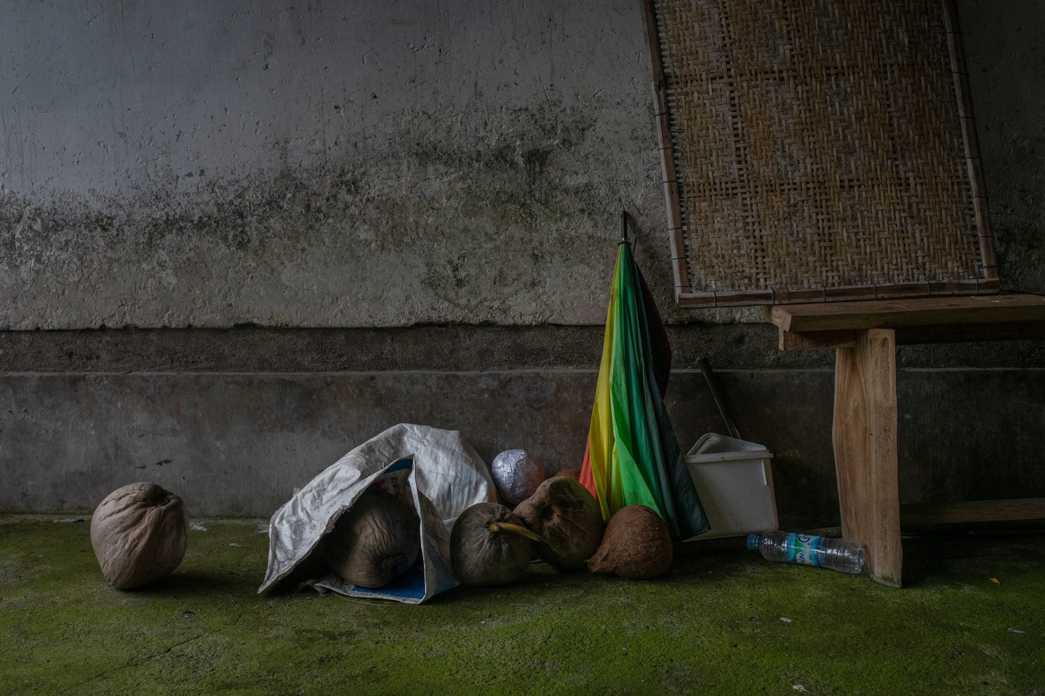 Coconuts and an umbrella rest against a stained wall.