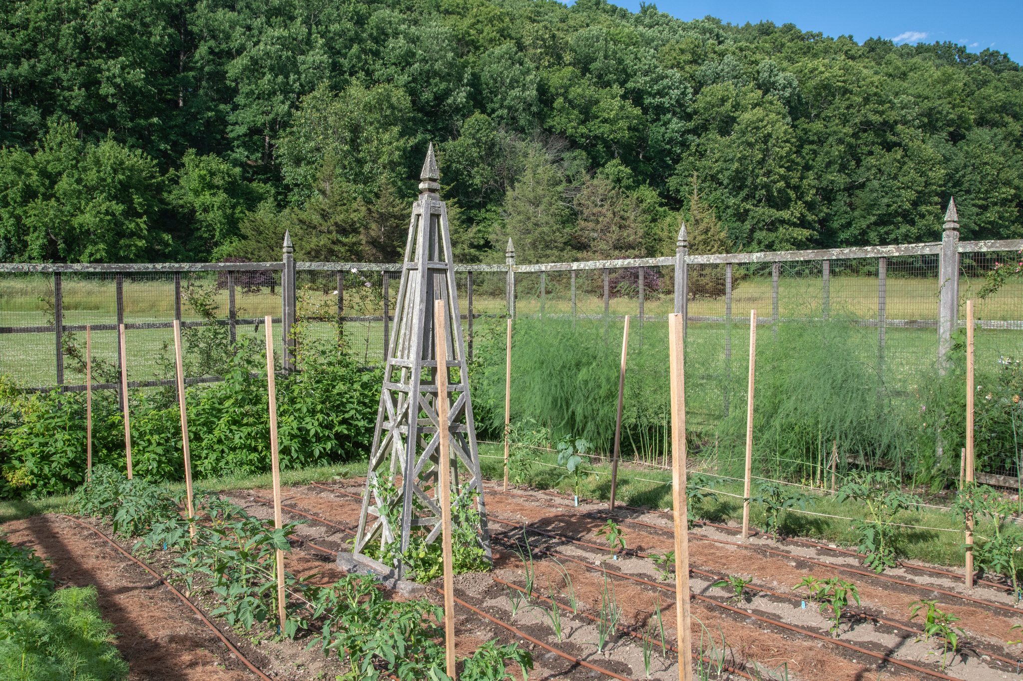 Stakes stand in rows around a weathered obelisk as the kitchen garden fills in.