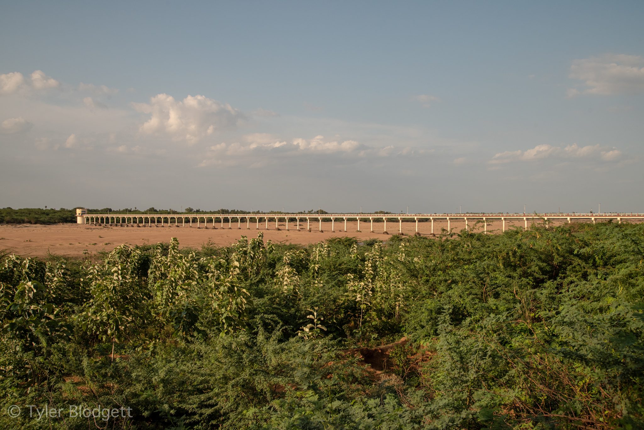 A long bridge stretches across the horizon beyond the scrub.