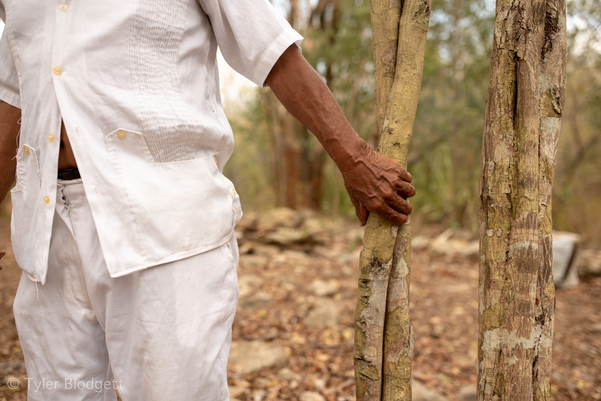 His hand rests on a slender trunk, the white of his clothes bright against the forest.