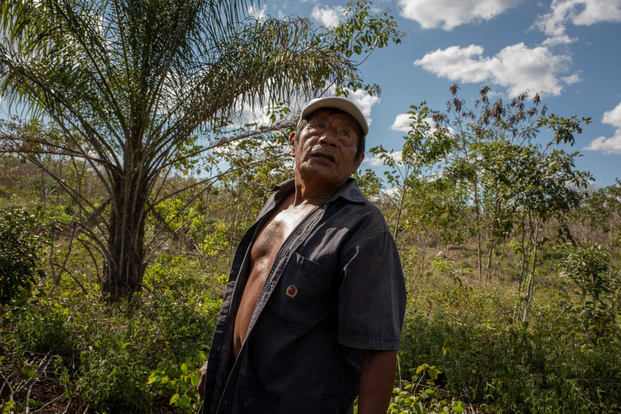 An elder looks up past the palms, reading the afternoon sky.