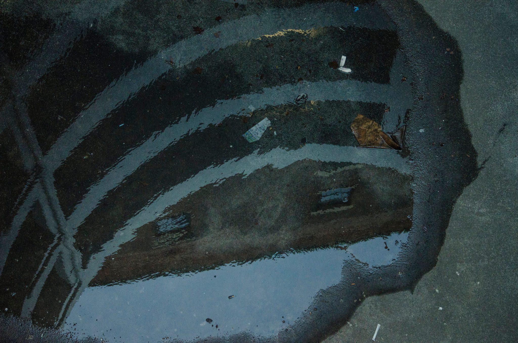 A puddle on the pavement holds a reflection of curving steel.