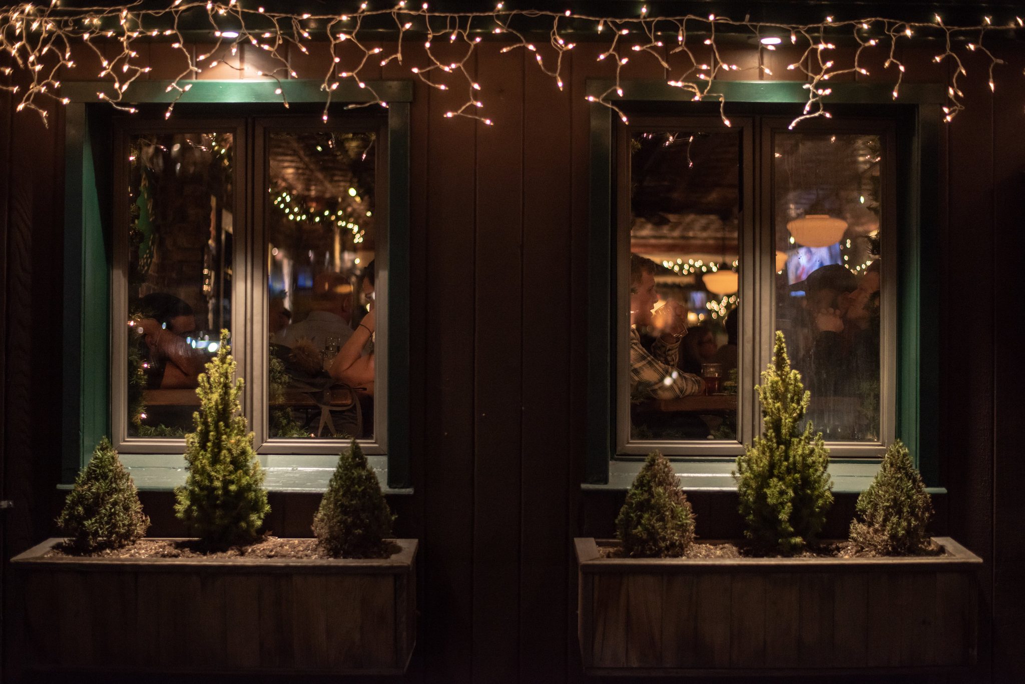 Icicle lights and potted evergreens frame the windows of a warm bar.