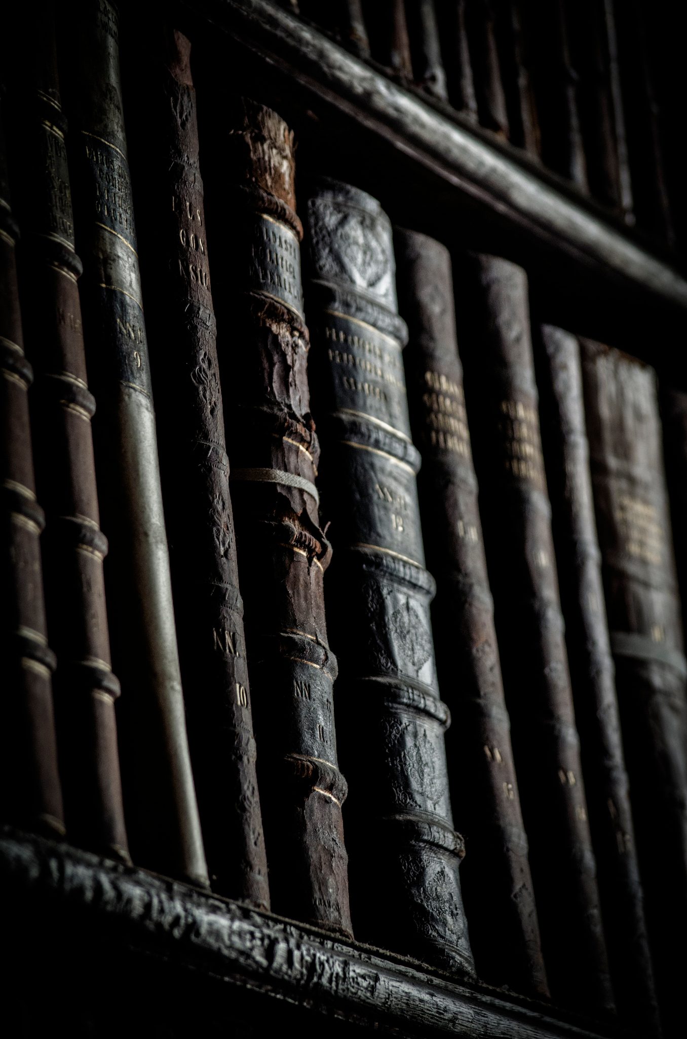 Ancient books stand shoulder to shoulder on a dark shelf.