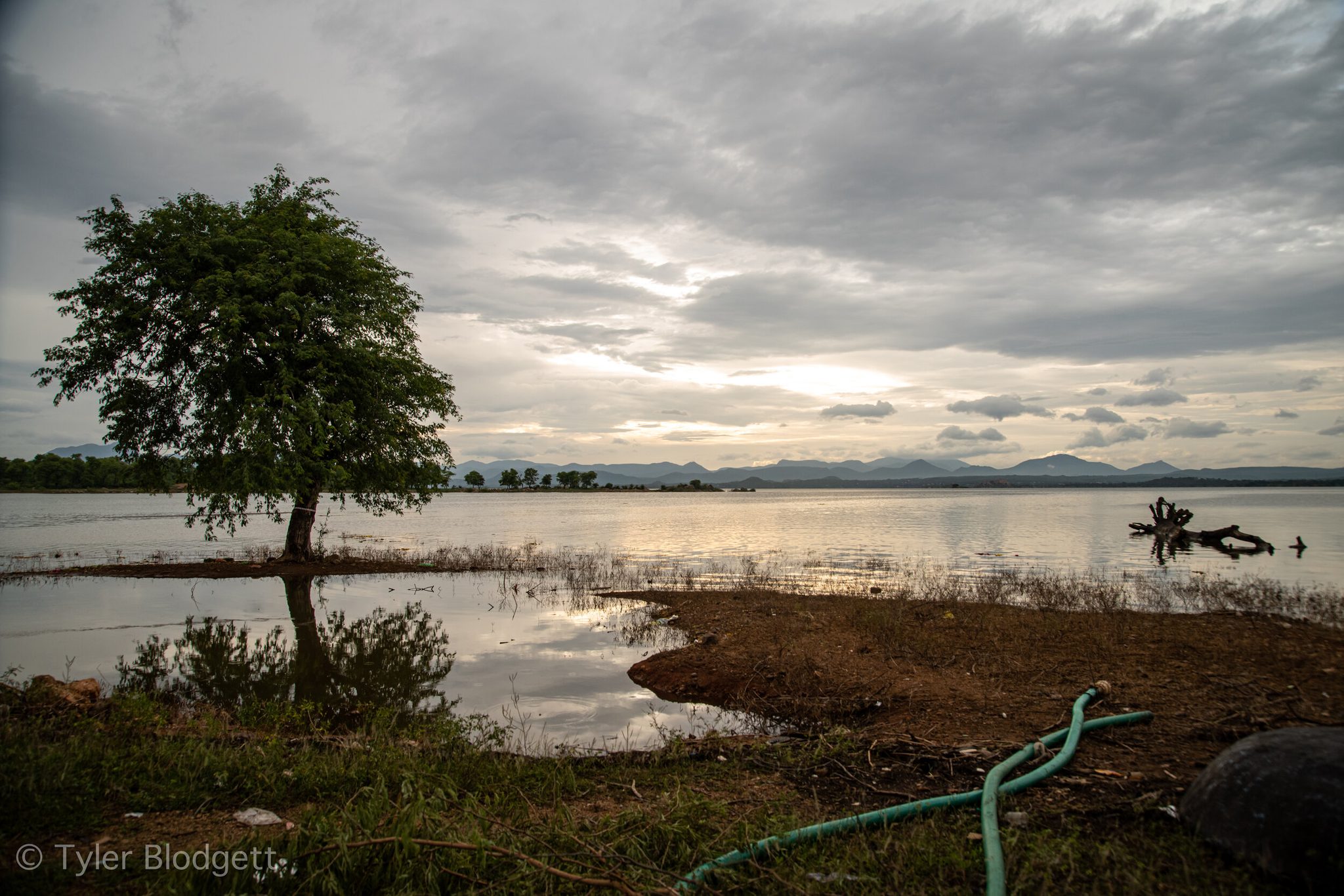 A lone tree keeps its footing at the water's edge as the clouds gather over the far hills.