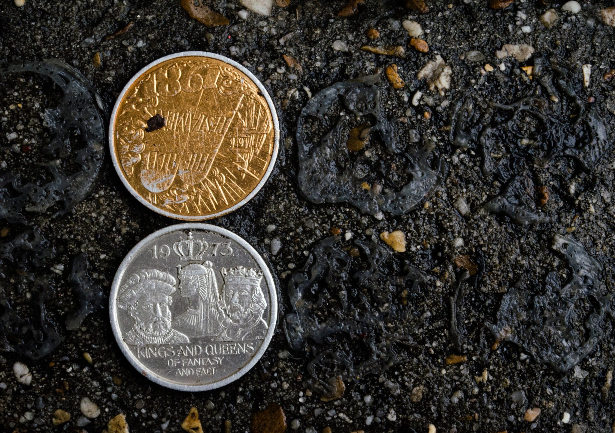 Two Mardi Gras doubloons on the asphalt, one gold and one silver, stamped Kings and Queens.