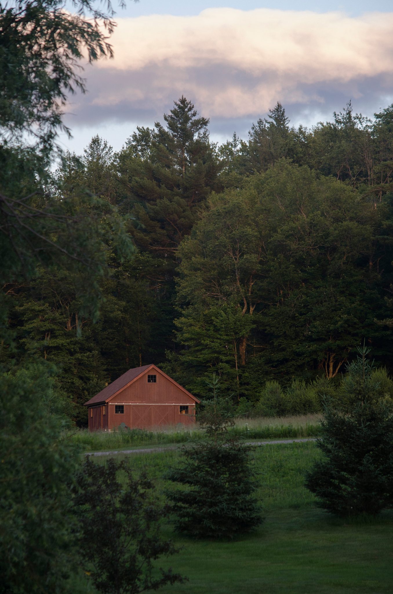 A small red barn sits at the foot of the pines as dusk comes on.