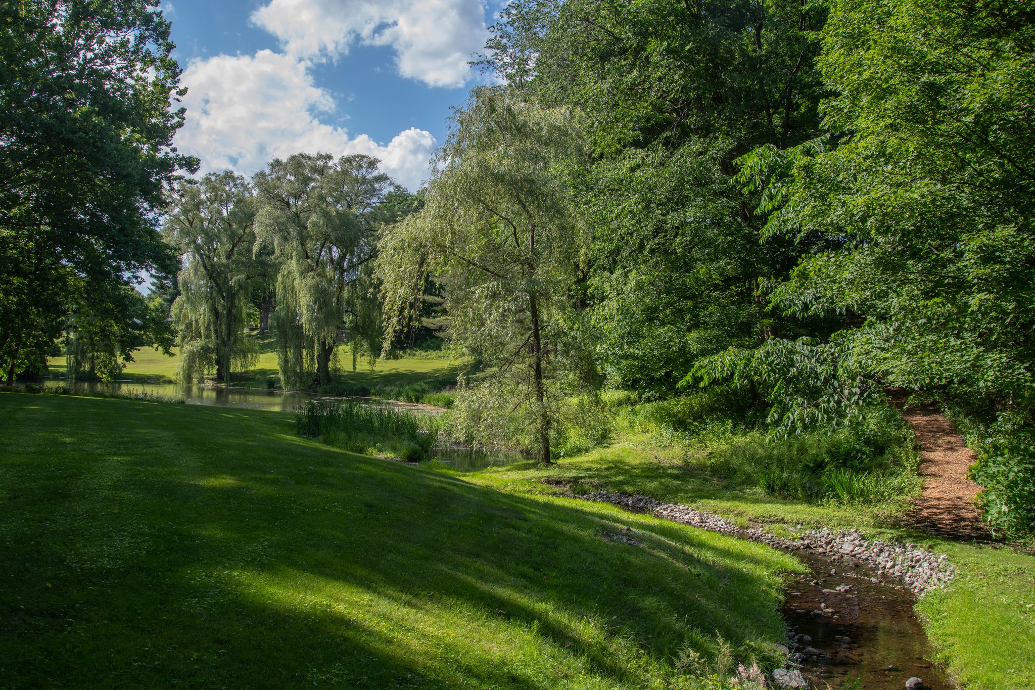 A mown path follows the stream up toward the willows.
