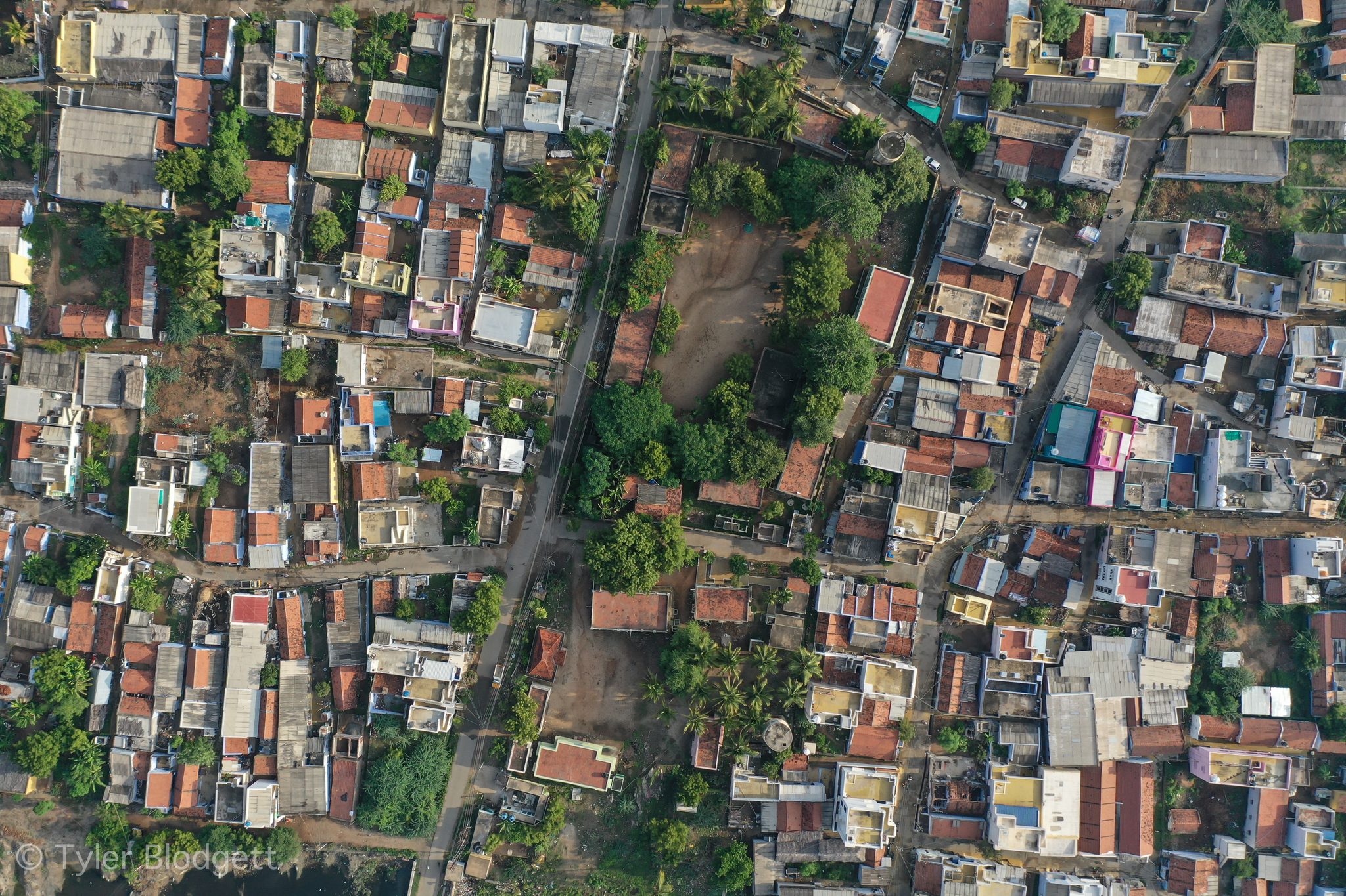 Rooftops and trees crowd together, seen straight down.