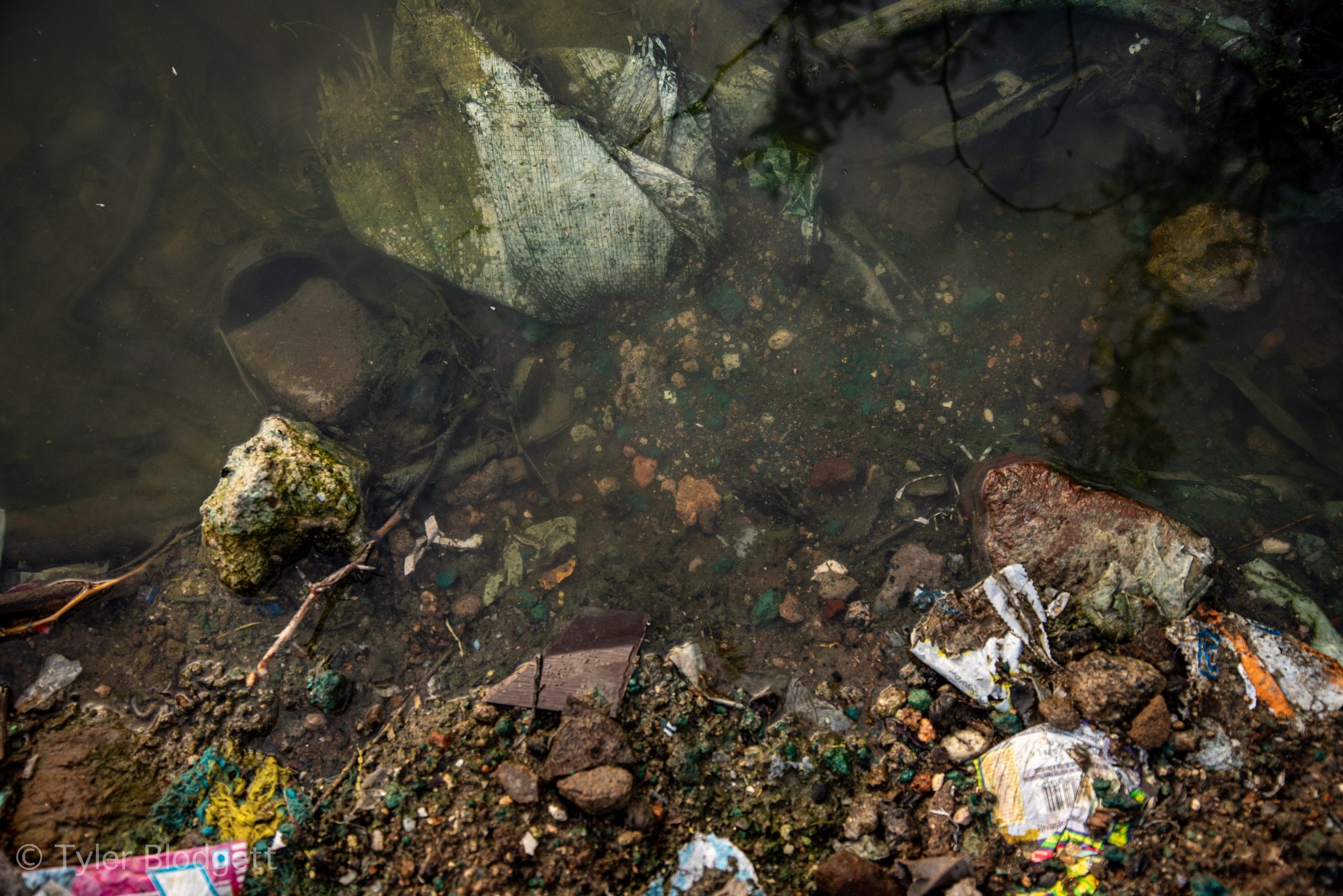 Litter lines the bottom of the murky water.
