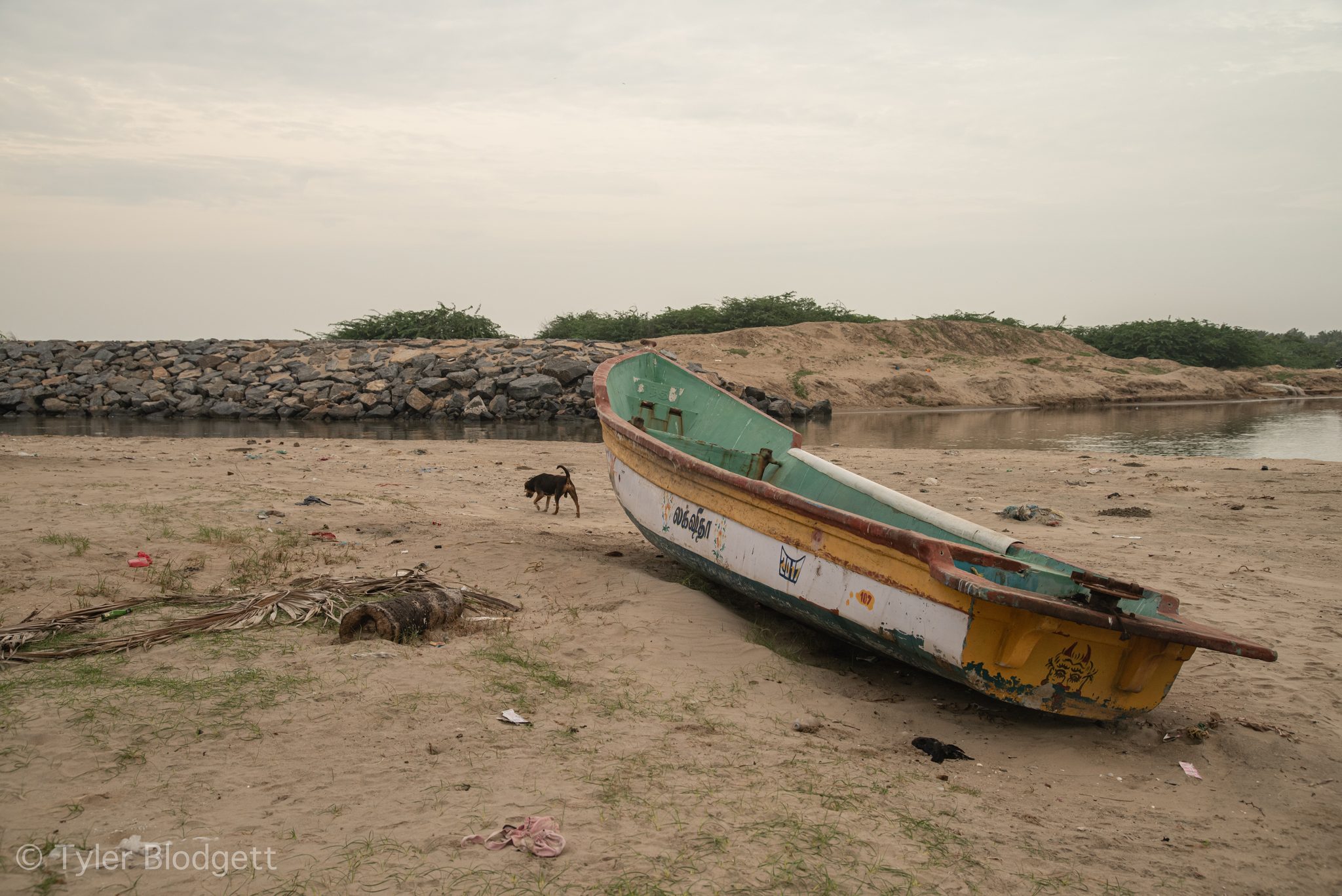 A dog wanders past a beached boat below the breakwater.