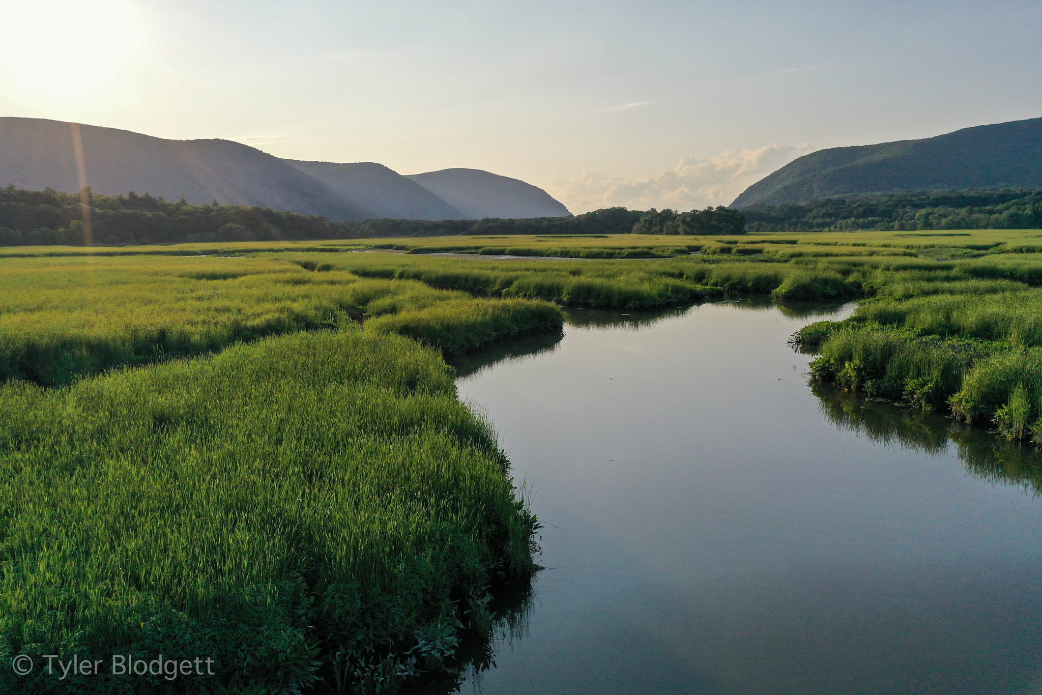 Tidal channels wind through the marsh toward the mountains.