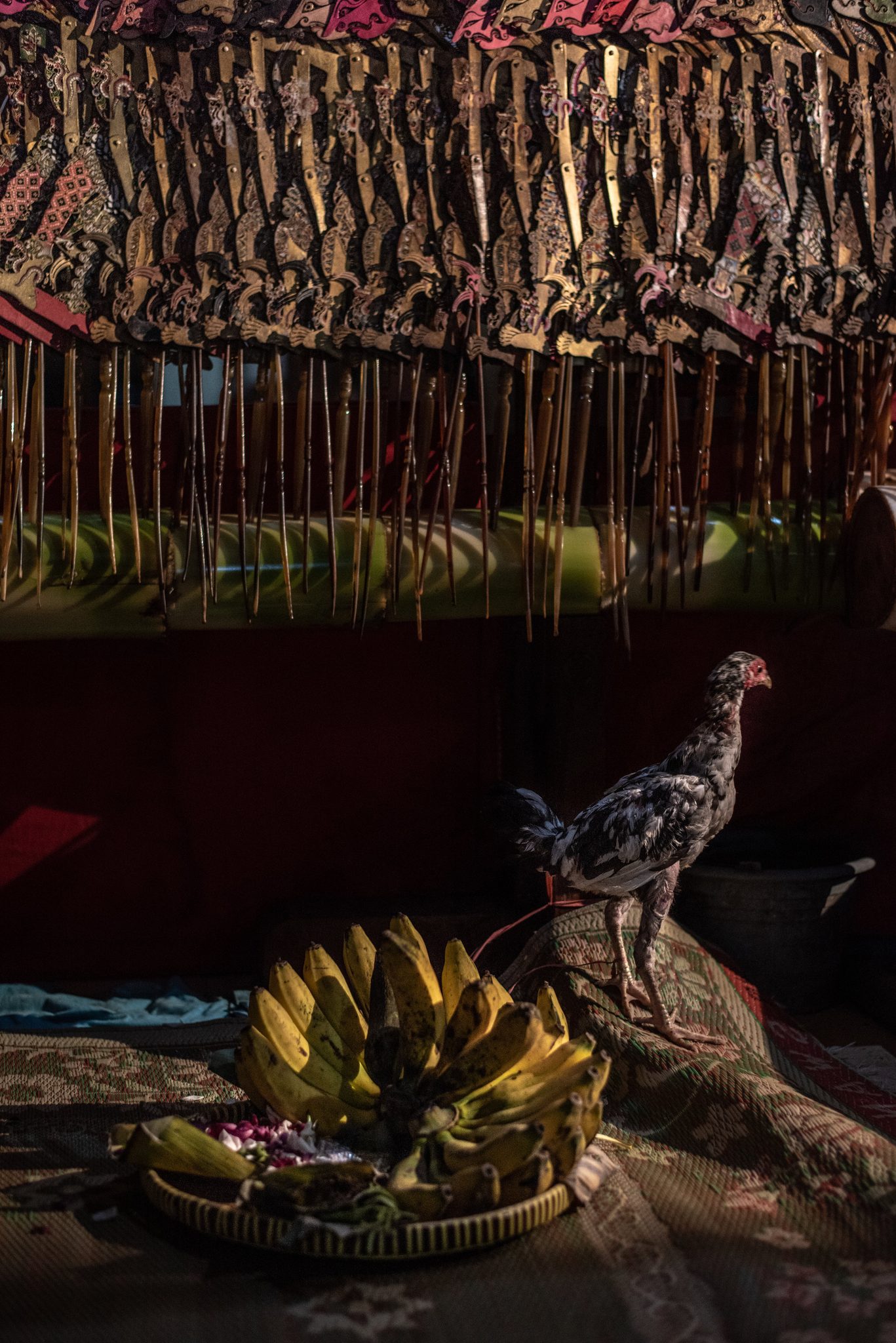 The chicken and fruit represent Sajen, a gift offering to the spirits