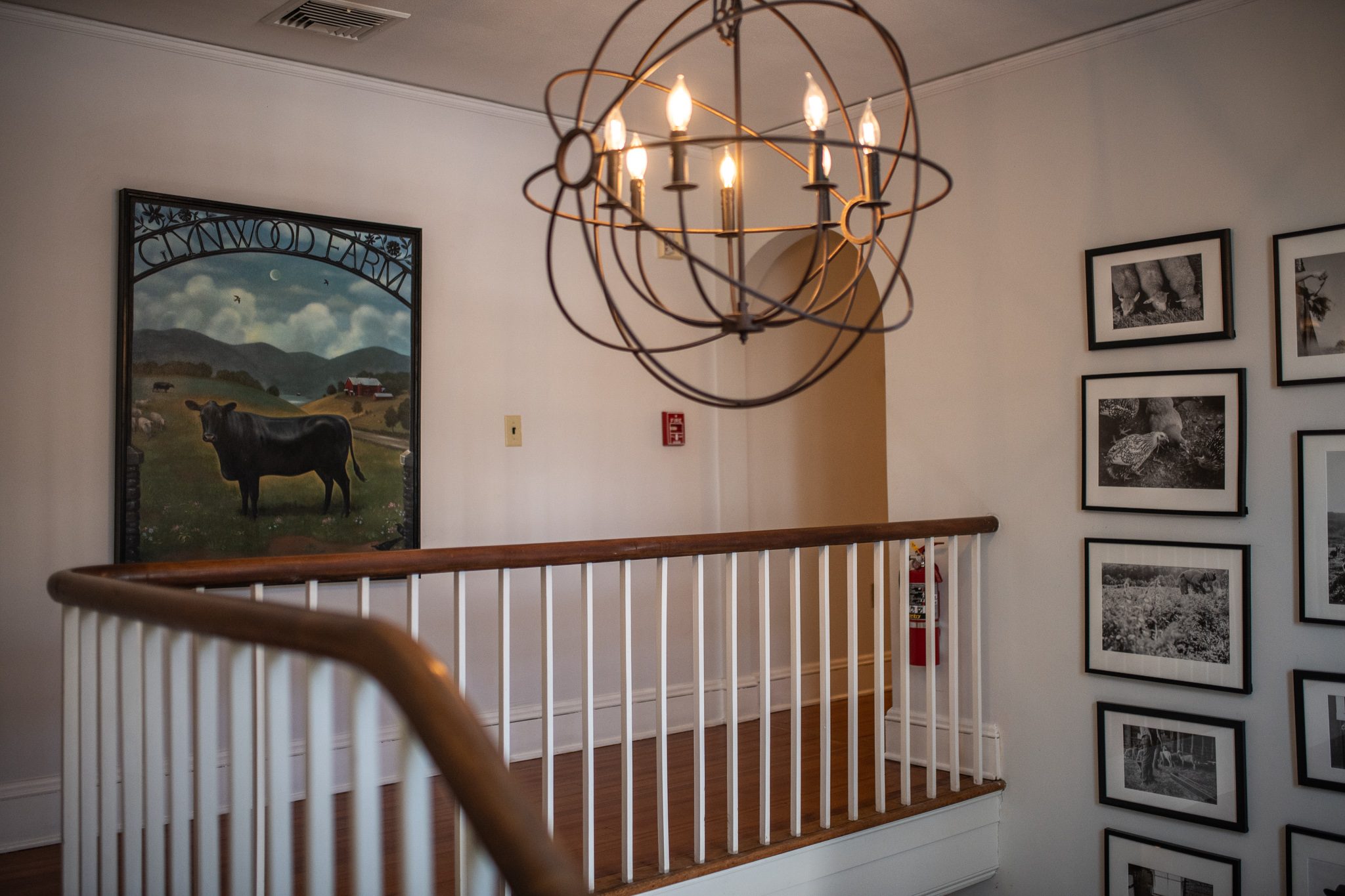 An upstairs landing lined with black and white photographs, a painted cow keeping watch.