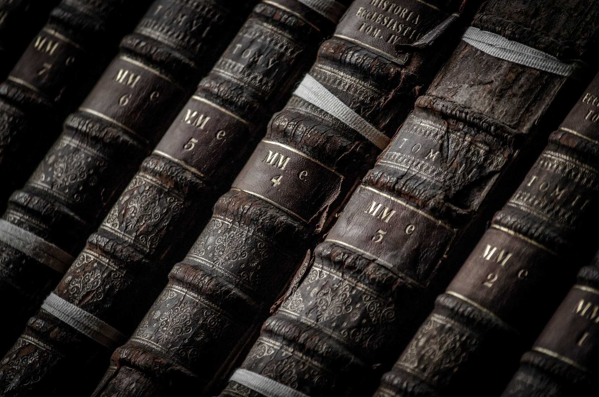 Numbered volumes in cracked leather, their gold lettering fading. Within pages I have lived a thousand lives.
