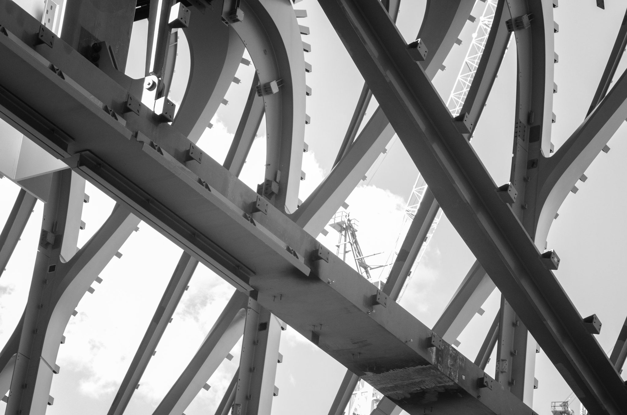 Curved girders branch overhead like steel trees.