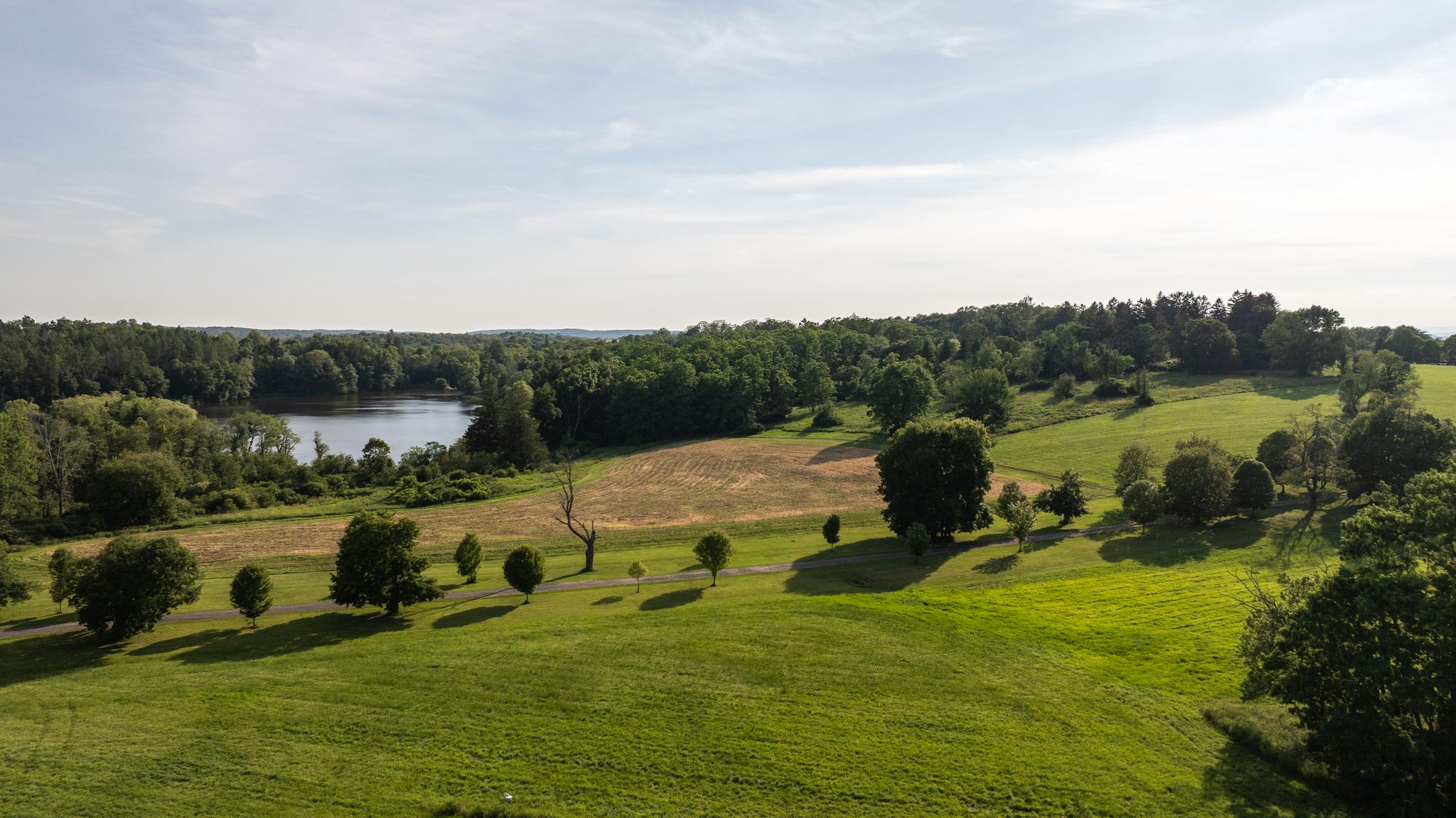 Early July evening light across open parkland, the lake tucked into the tree line beyond a freshly mown field.