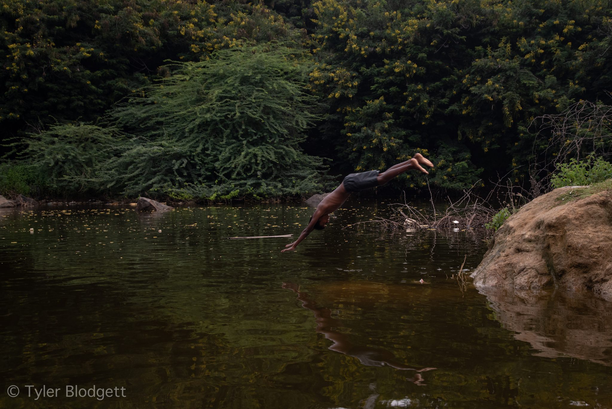 A boy launches himself headfirst into the dark pond.