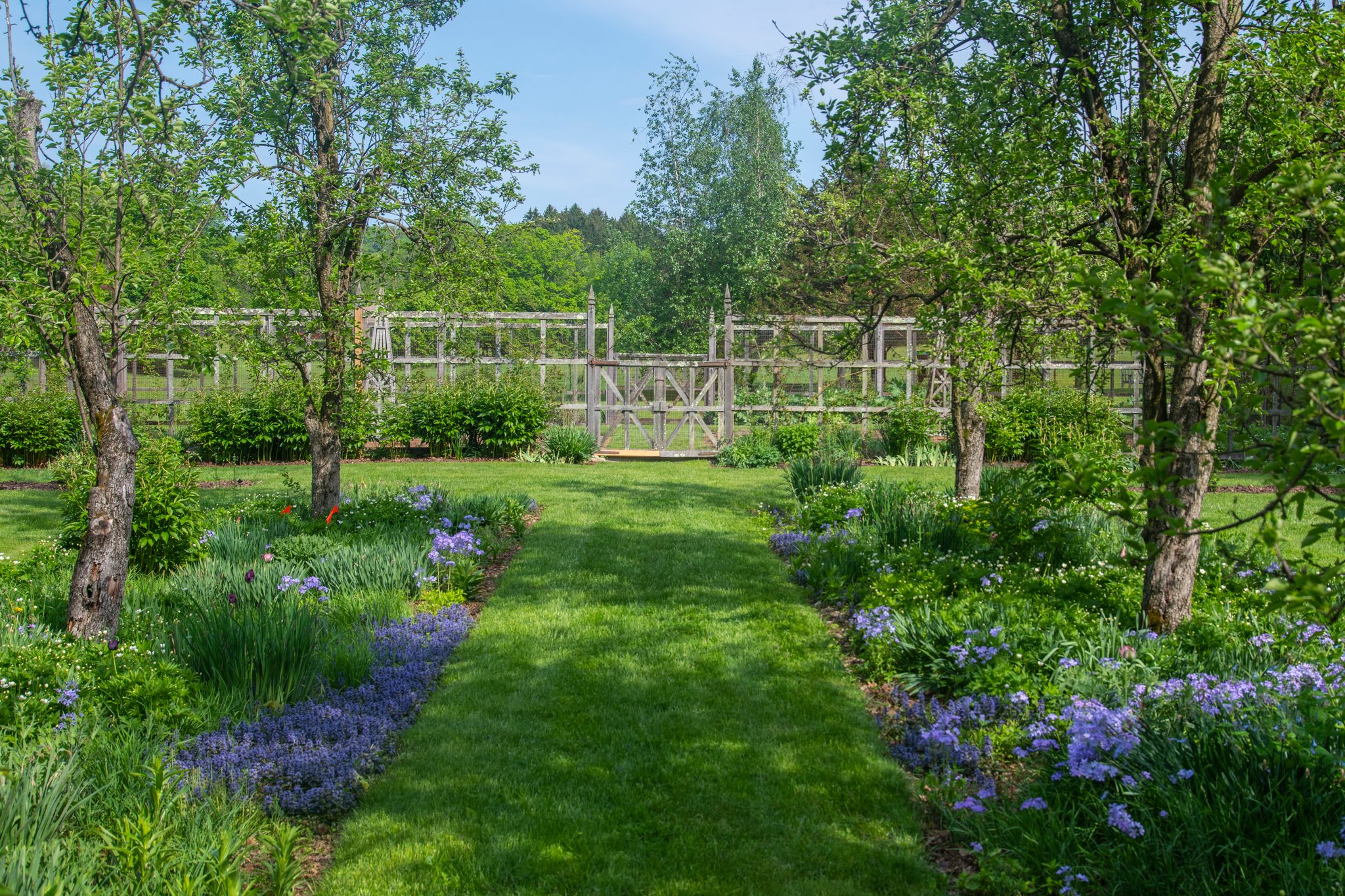 A grass path runs between beds of phlox to the garden gate.