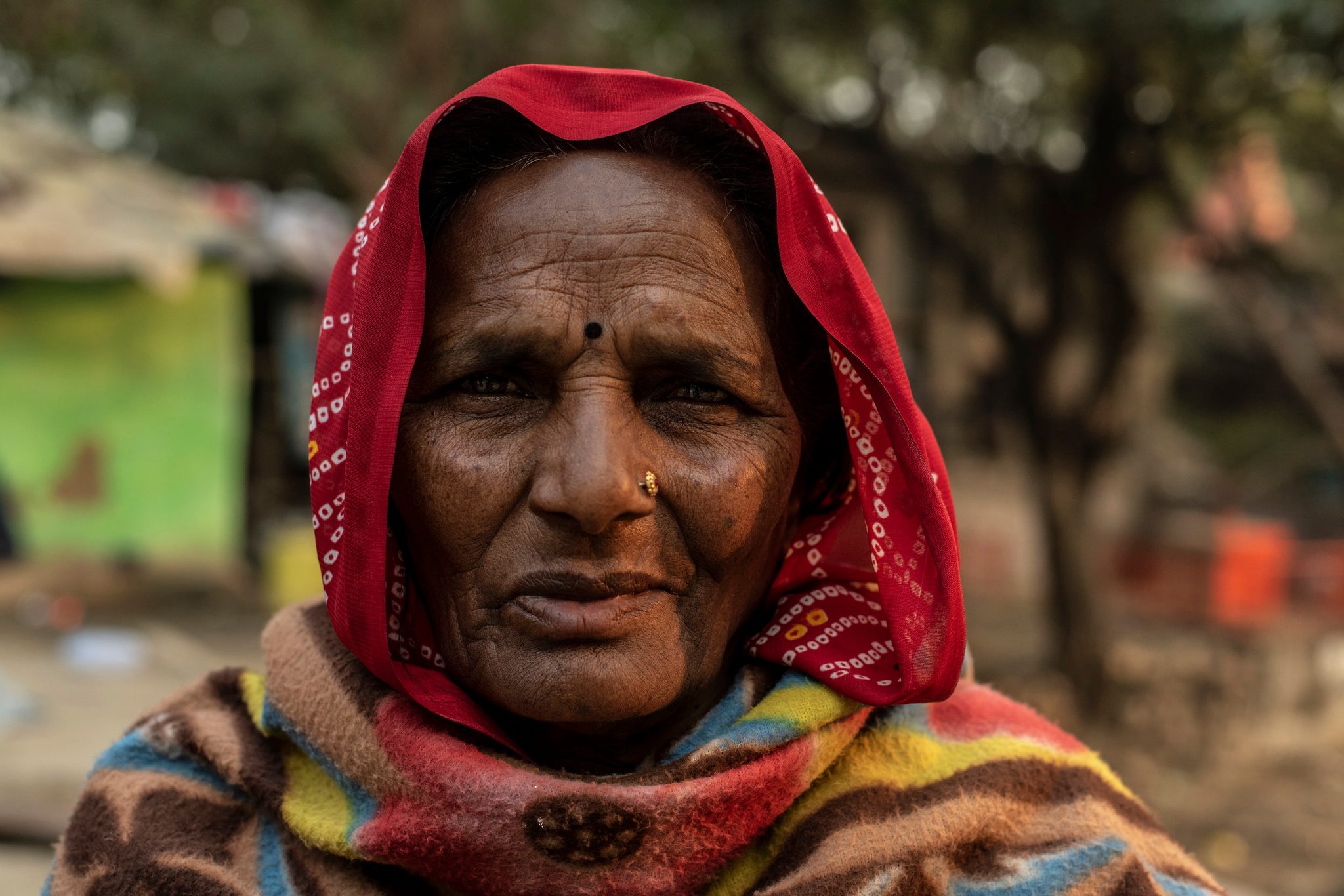 Chanda Devi, age 70, lives in a small swampy copse just outside of Sangam with her children and grandchildren.