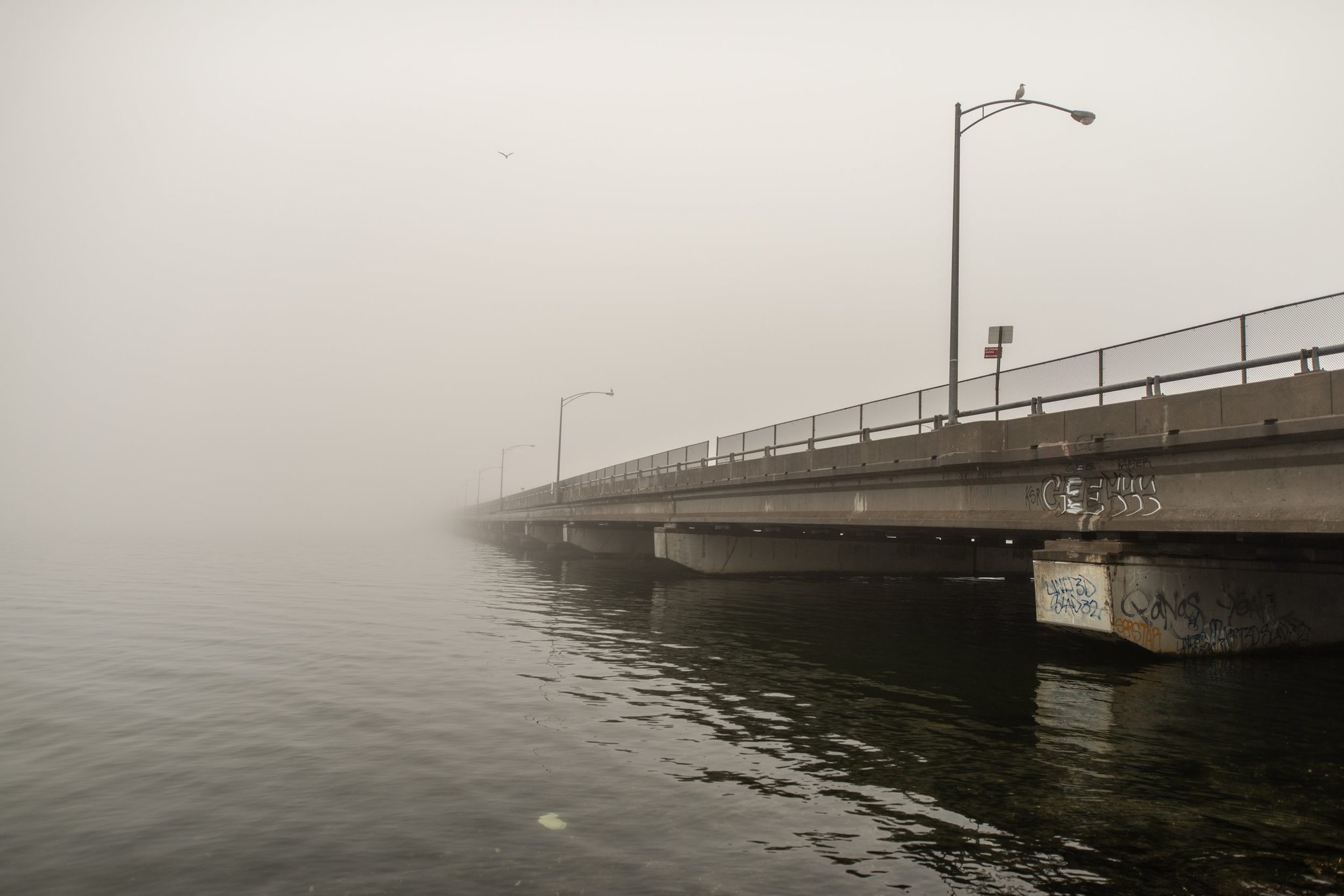 The bridge disappears into the fog halfway across the water.