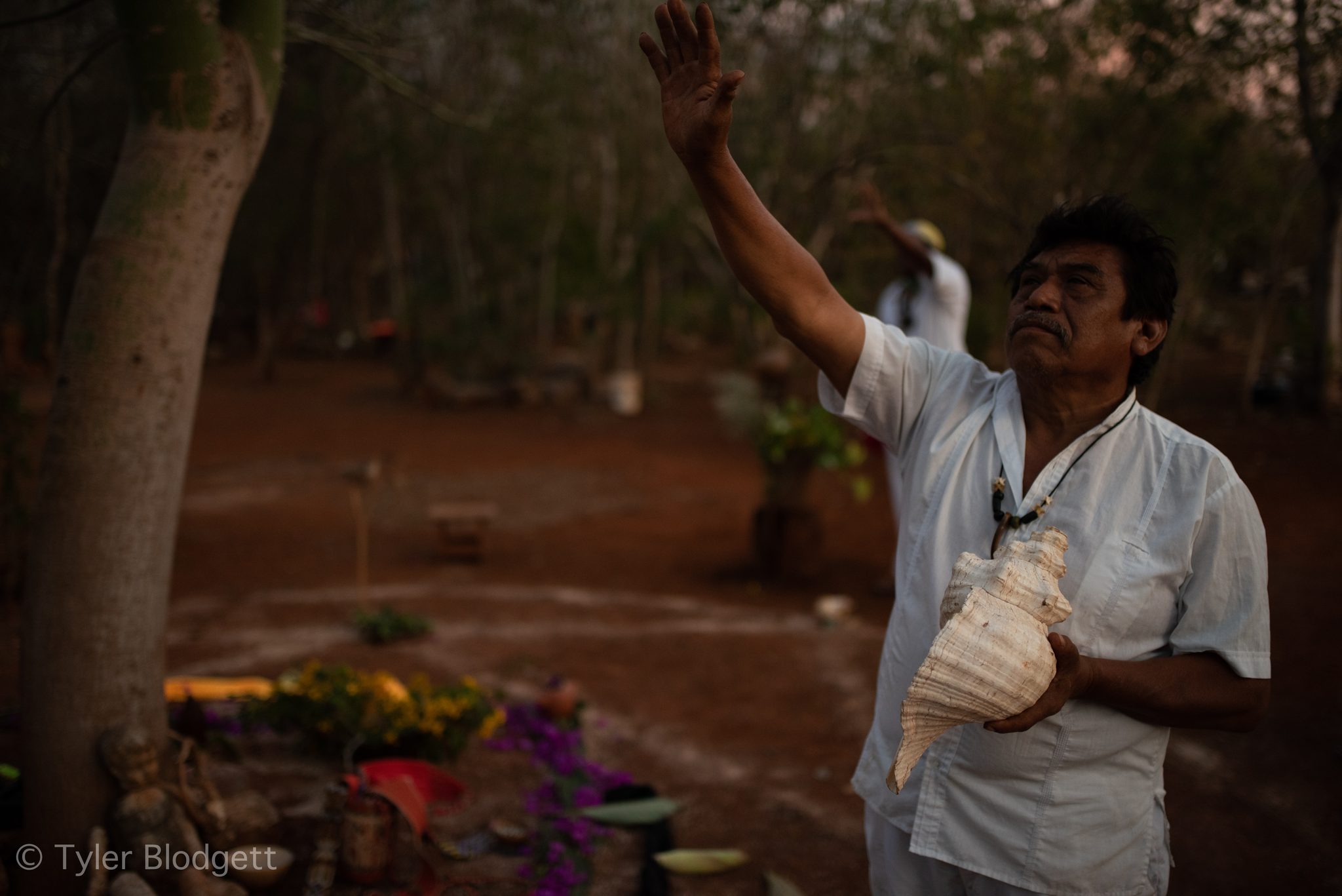 Conch in hand, he lifts his arm toward the canopy.
