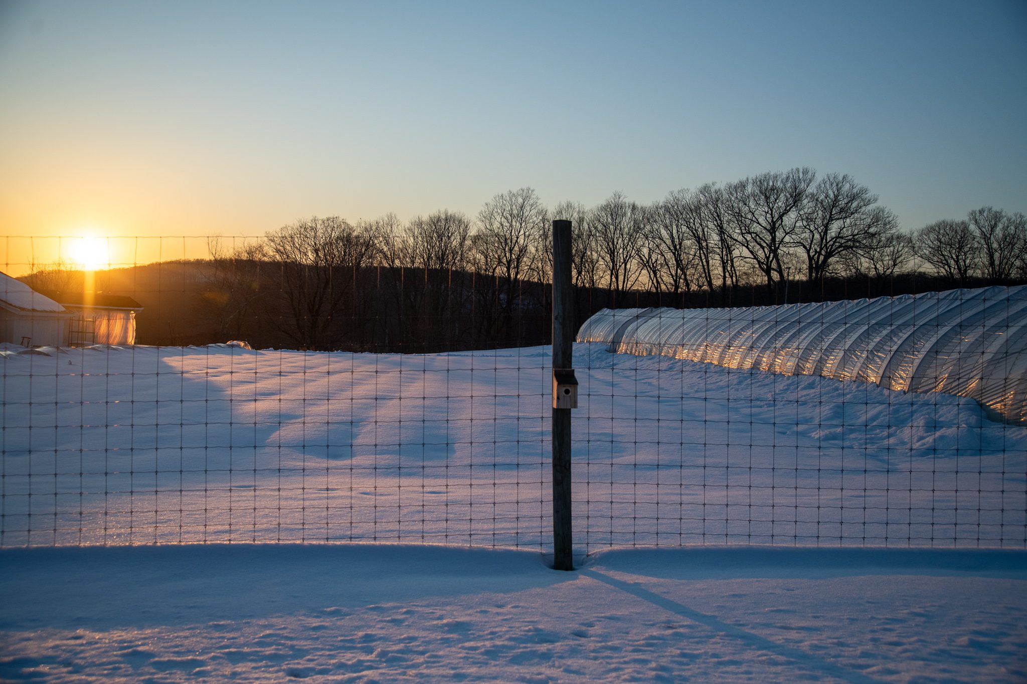 The sun drops behind the ridge, lighting the hoop houses and the tall fence.