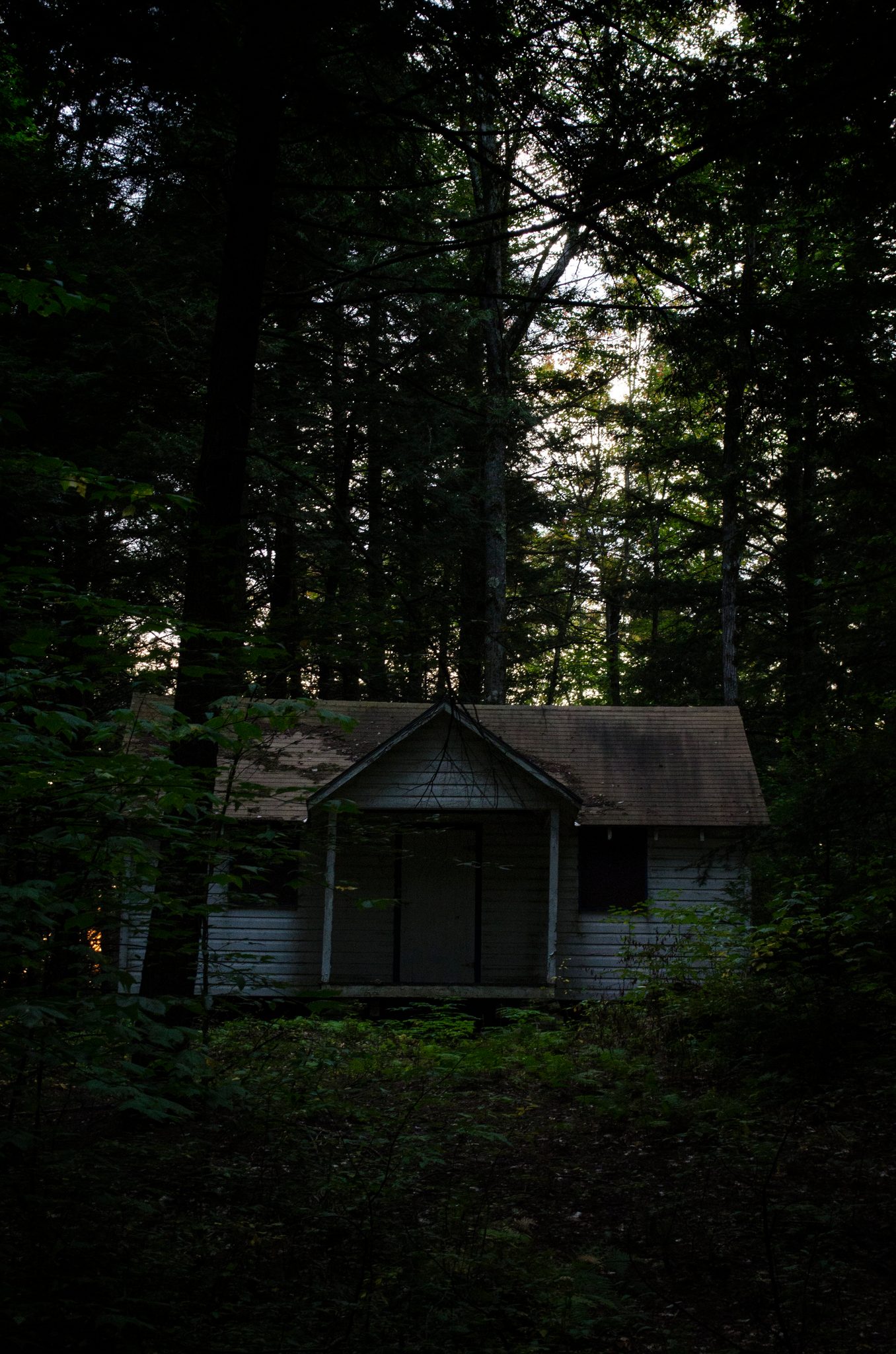 A small cabin sits in the dark of the pines.