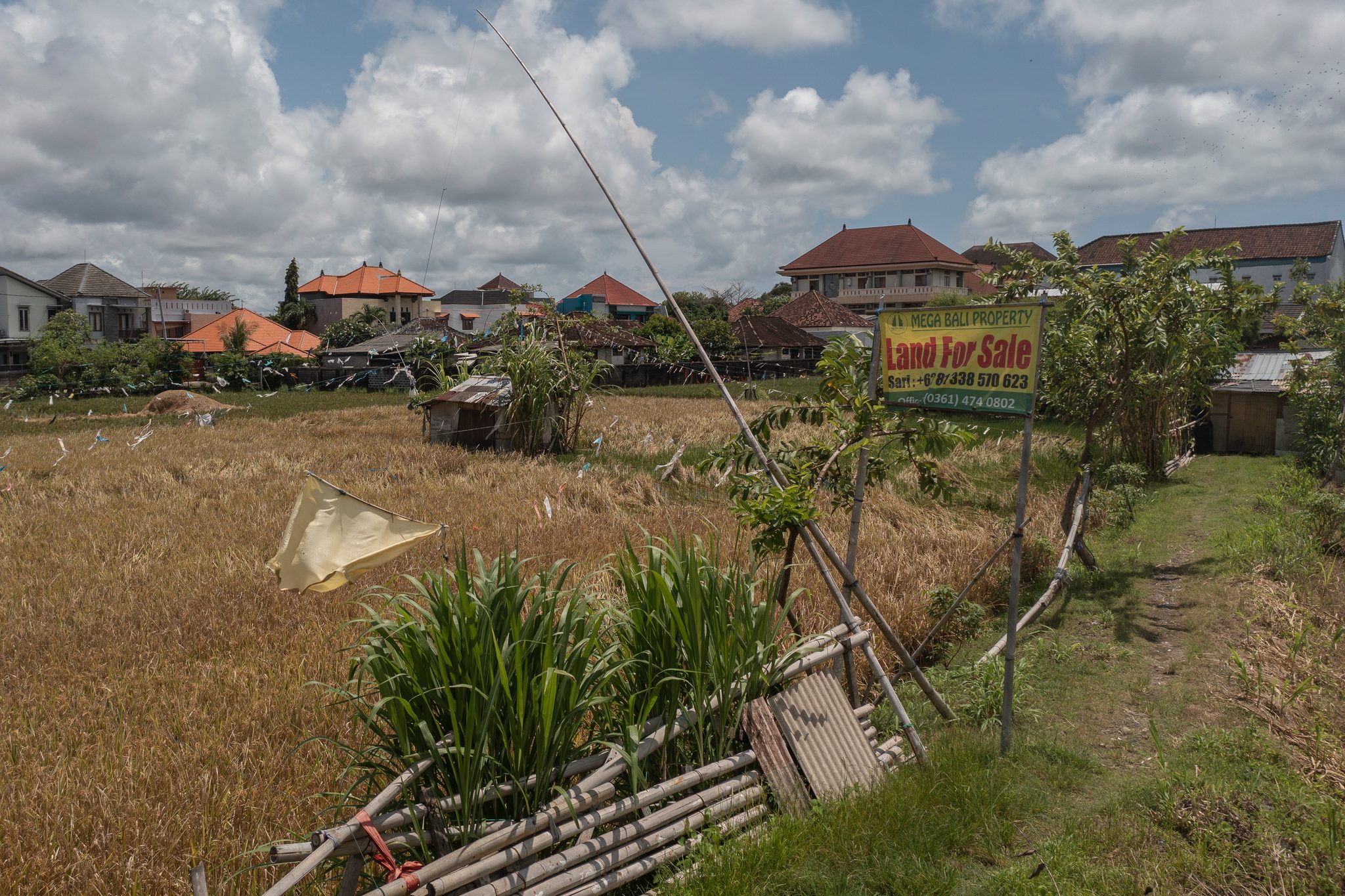 A Land For Sale sign stands at the edge of a rice field, the new houses already crowding in.