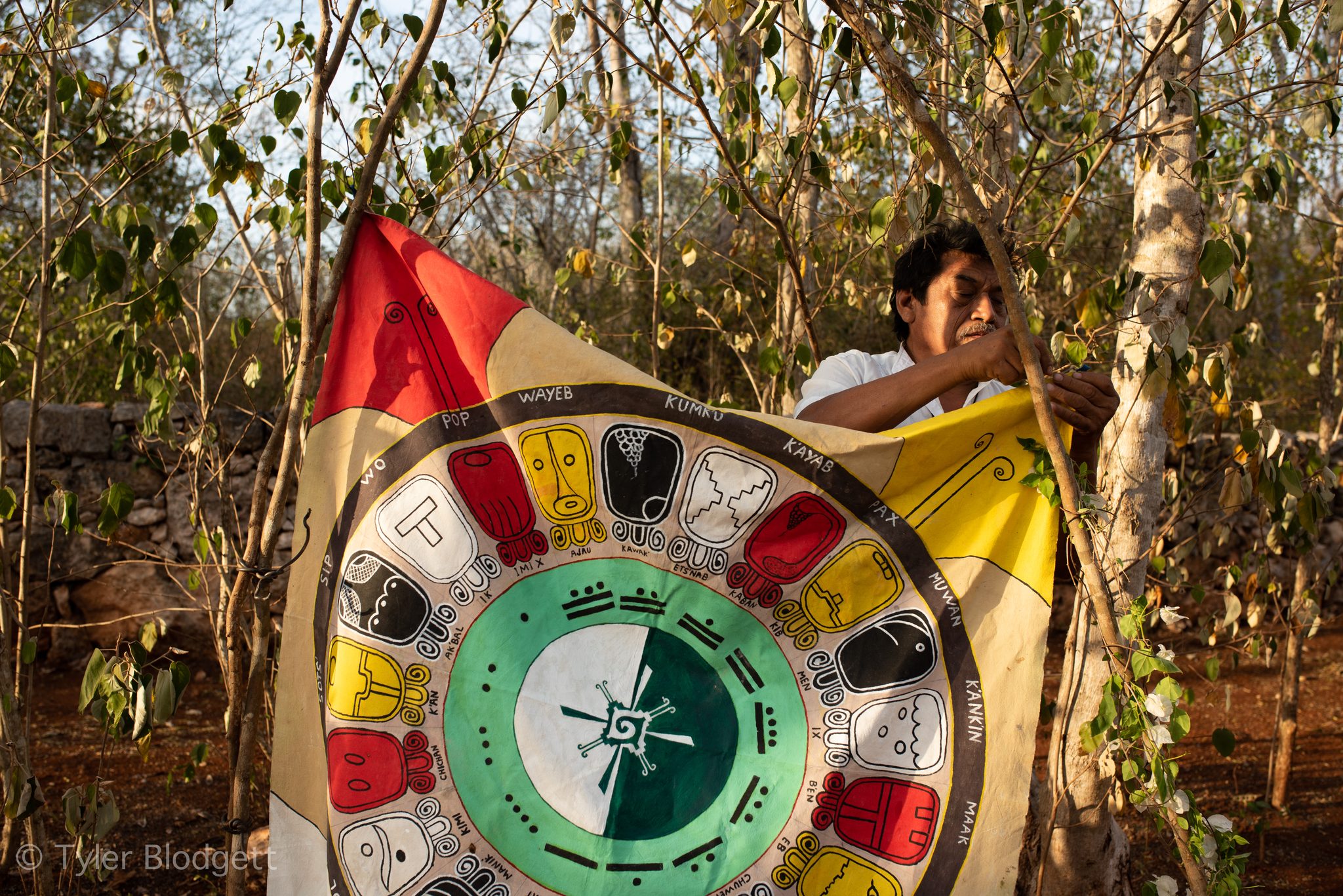 A man unfurls a banner painted with the Maya calendar among the trees.