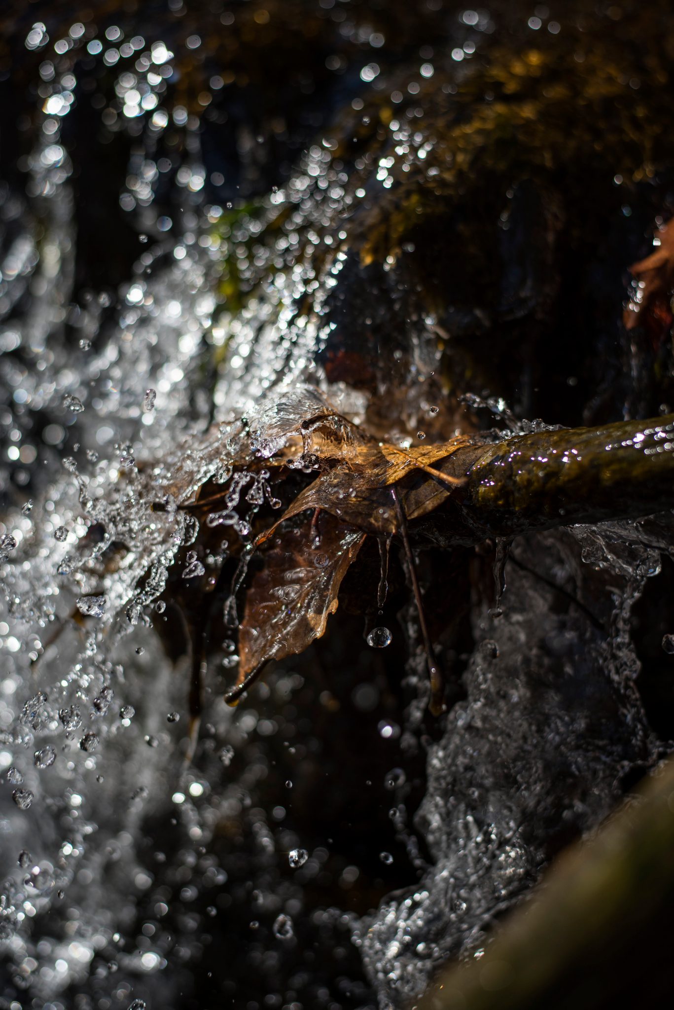 Water spills over a fallen leaf and shatters into droplets.