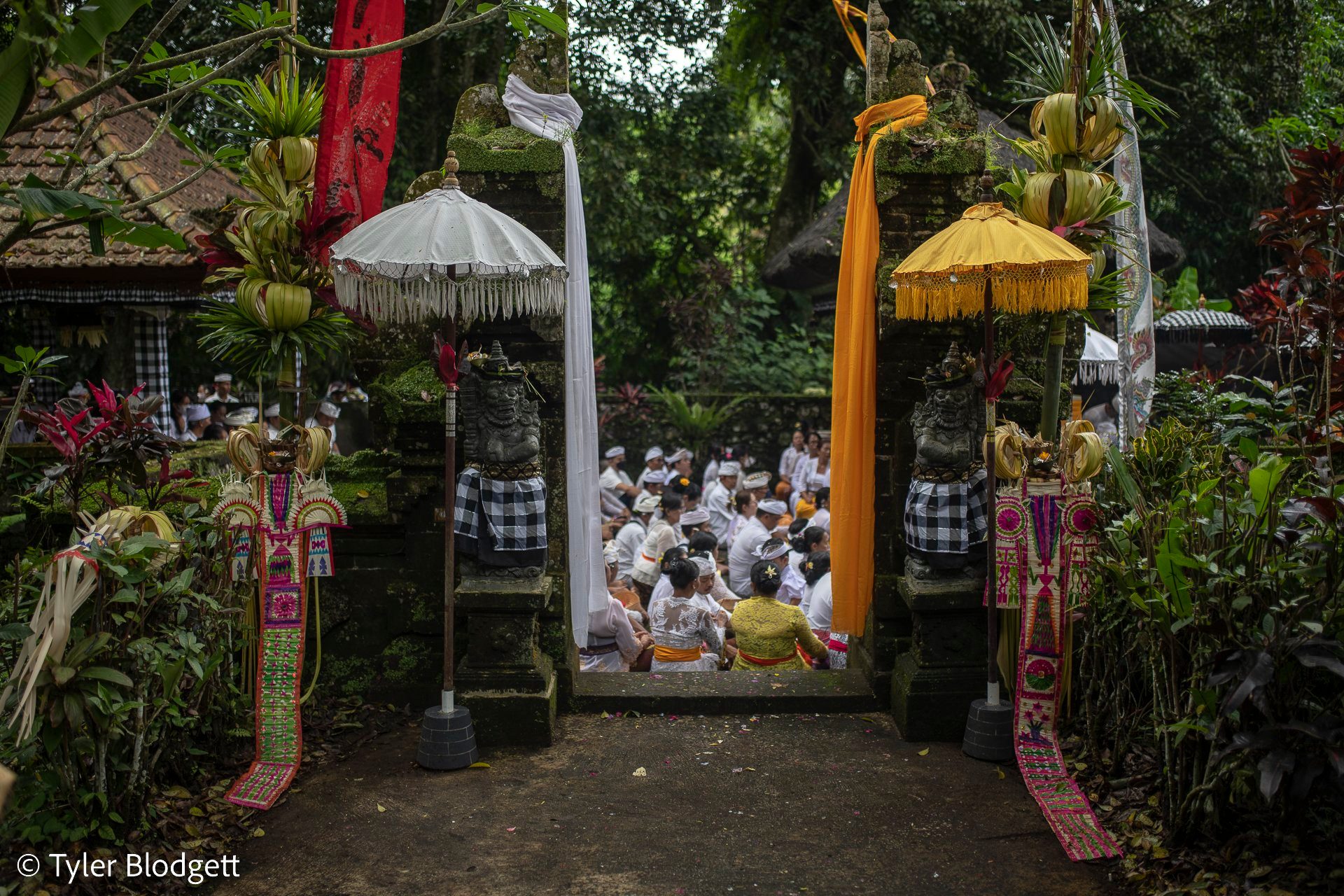 Through the temple gate, the congregation sits in white beneath the parasols.