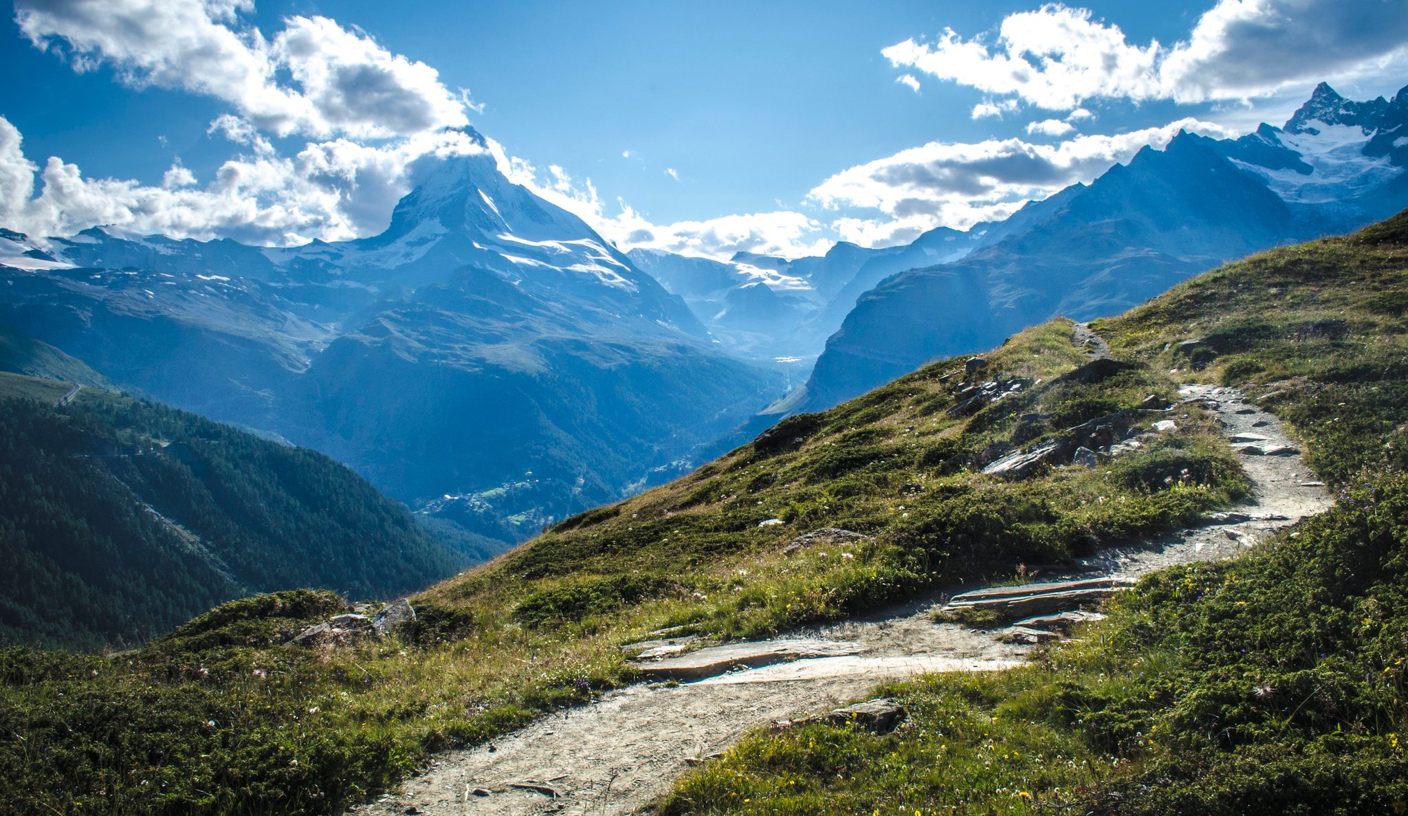 A trail winds through the high meadows toward the Matterhorn.