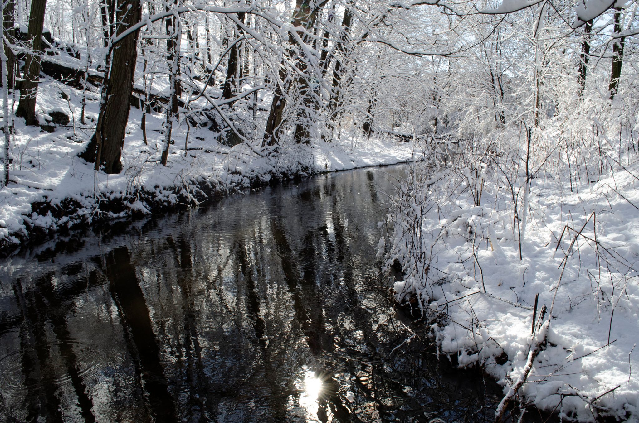 A dark stream winds through the snowy woods.