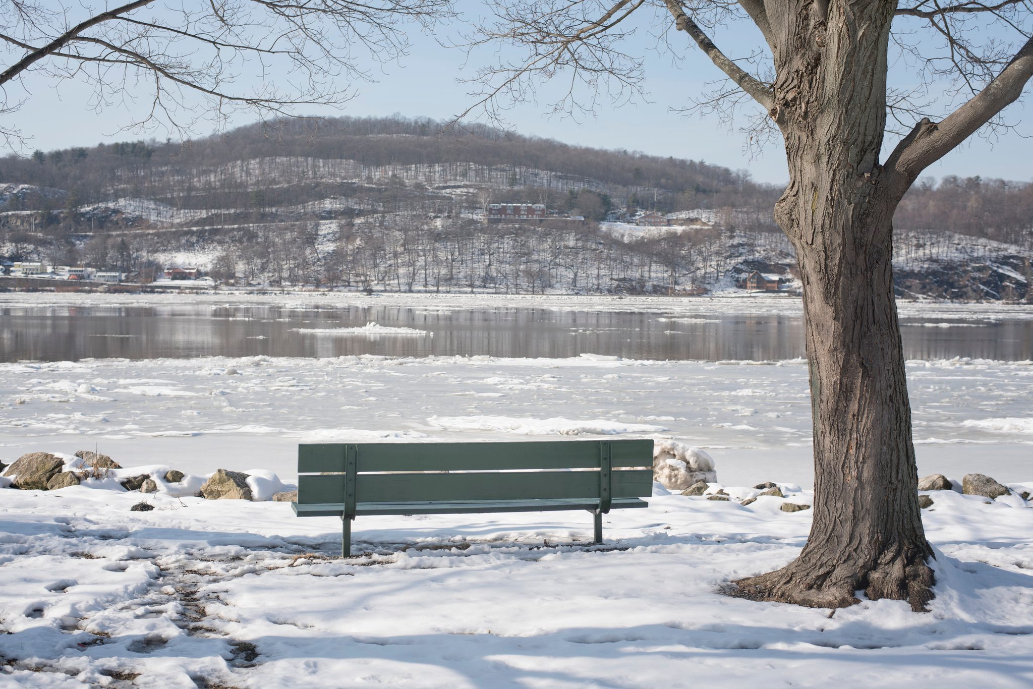 A bench faces the icy river beneath a bare tree.