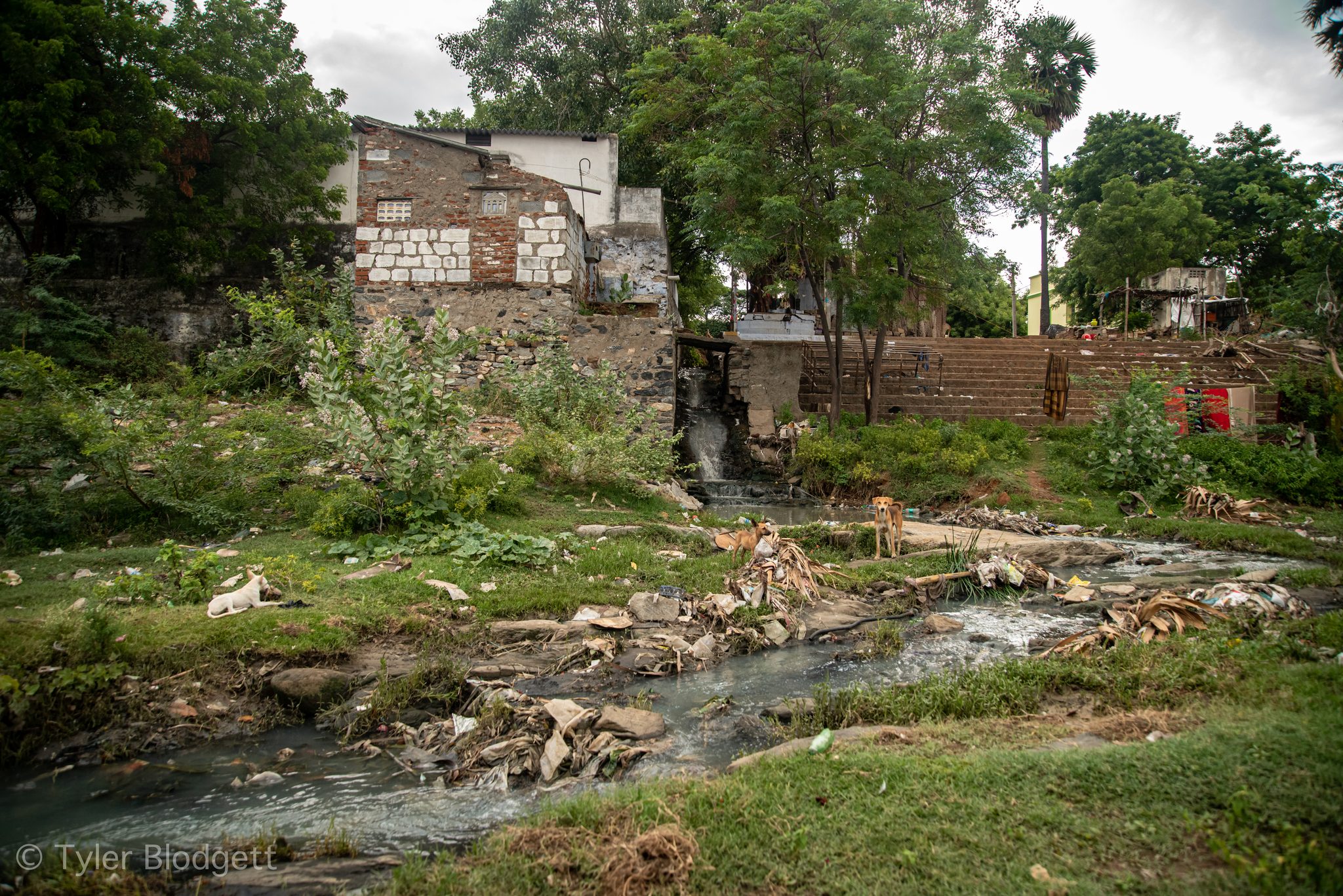 A stream runs thick with rubbish past the backs of houses.