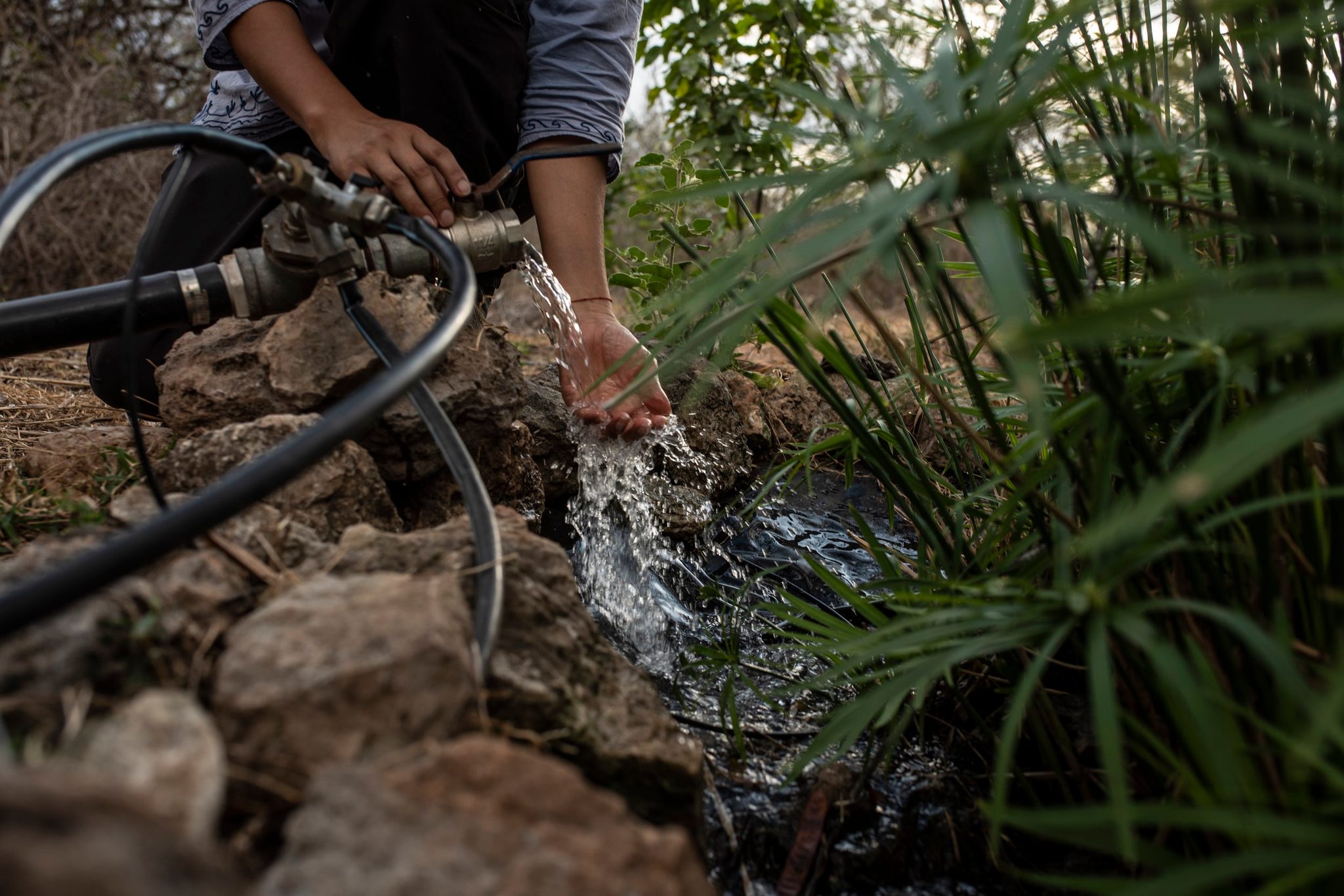 Water spills from the line over cupped hands and into the rocks, the garden drinking it in.