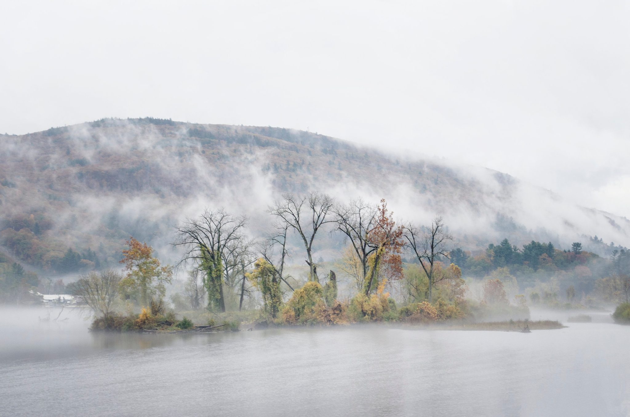 Fog wraps the hills and a small island of turning trees.