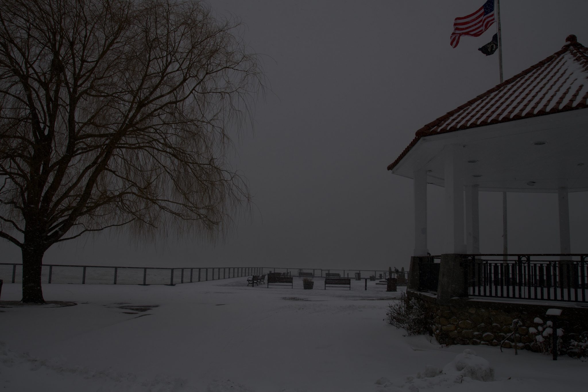 Snow falling on the waterfront bandstand and its willow.