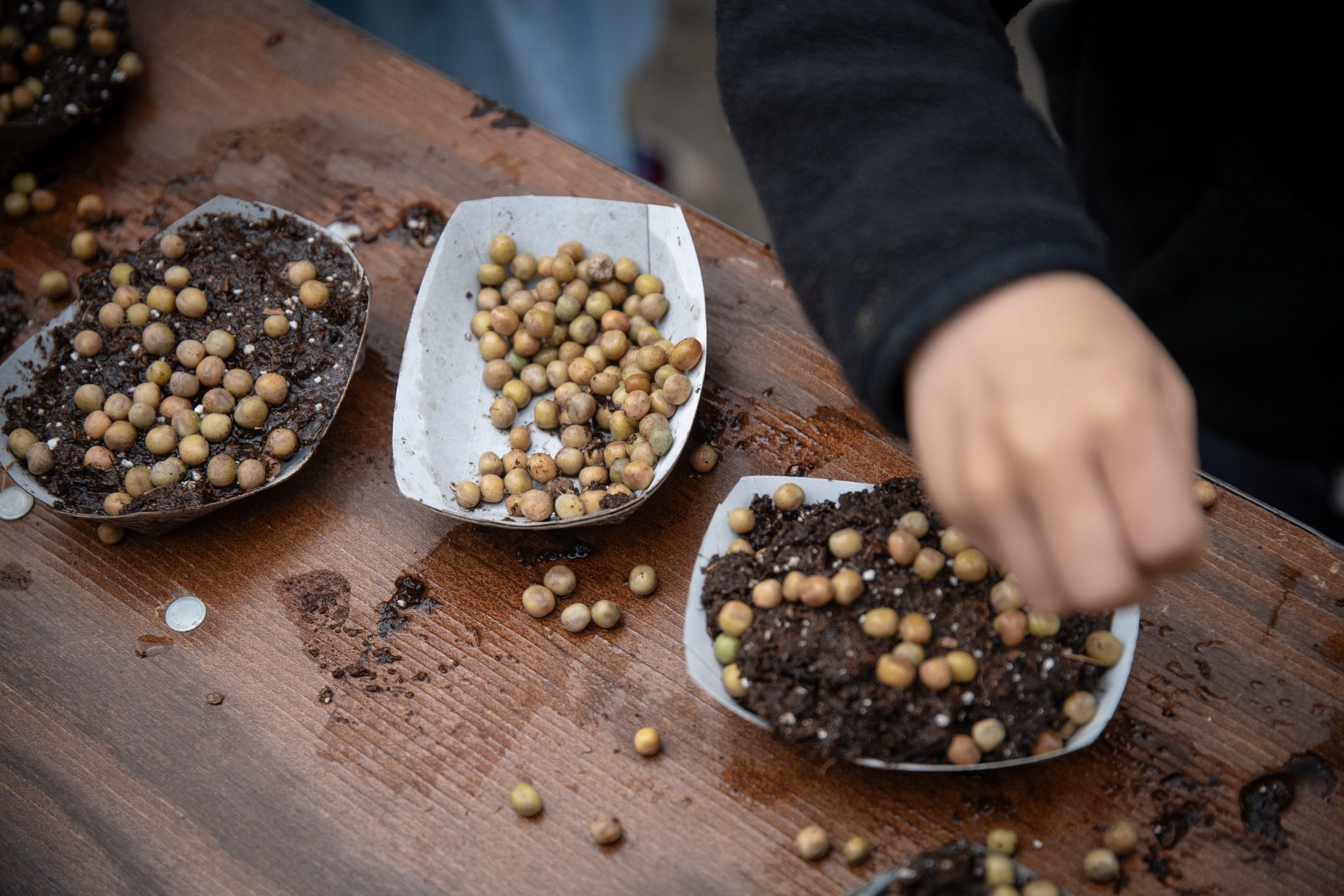 A small hand drops seeds into a paper boat of soil.
