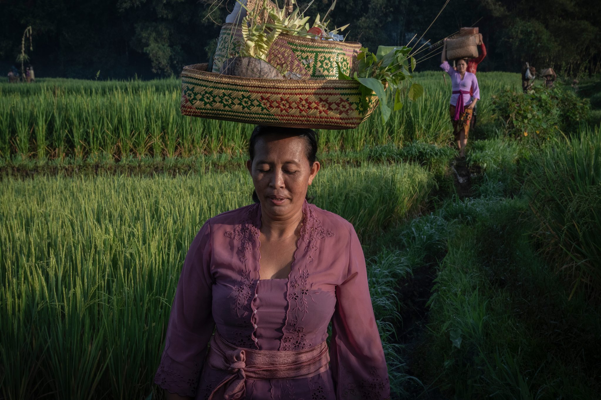 Eyes closed, she carries an offering on her head down the narrow path between the paddies.