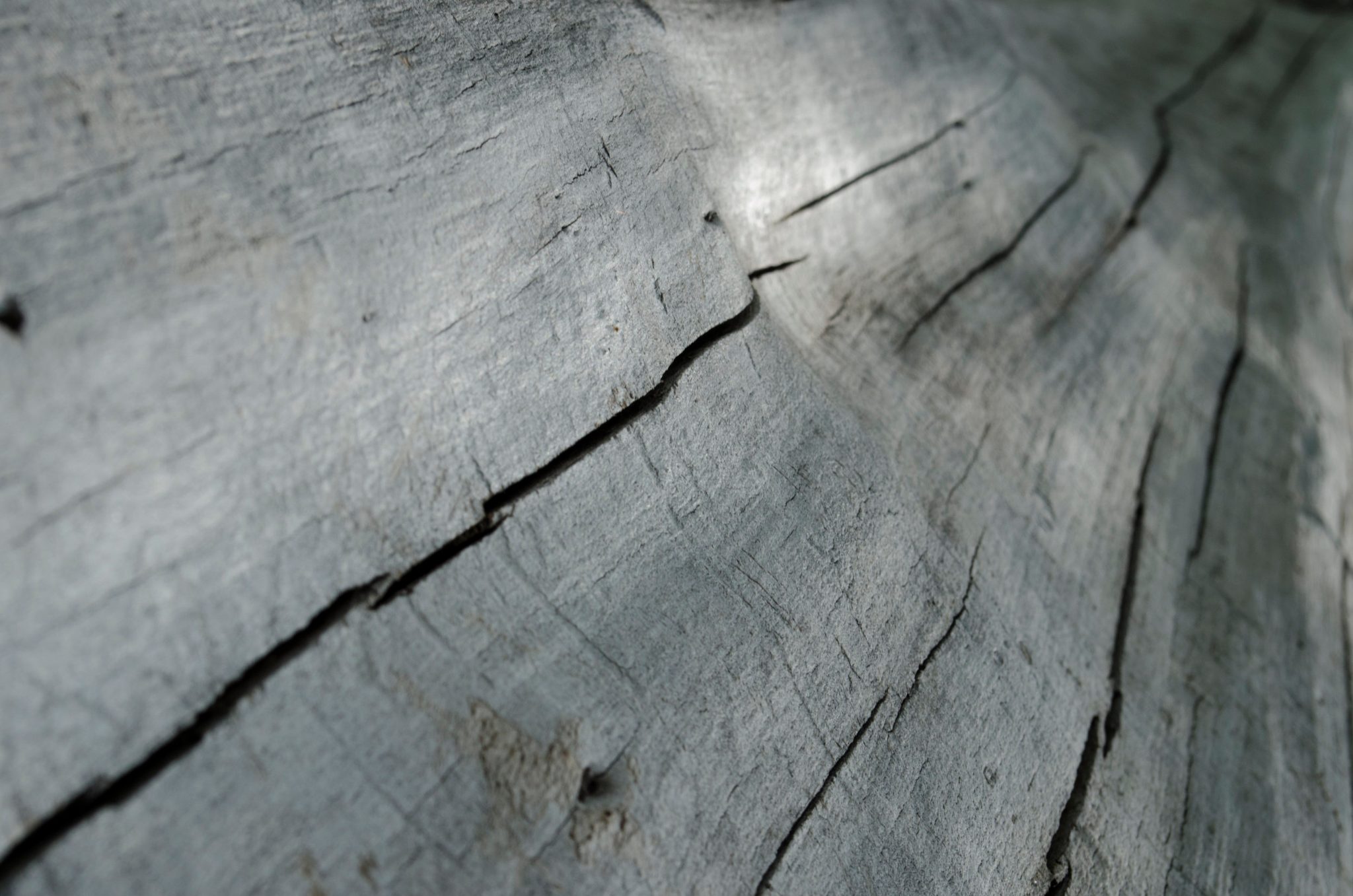 Cracks run through the gray grain of weathered wood.